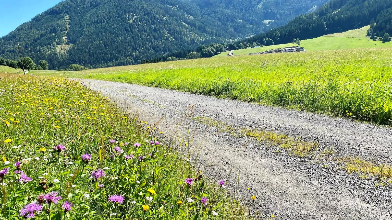 Grebenzen Lodge 1028-Areas summer 1km