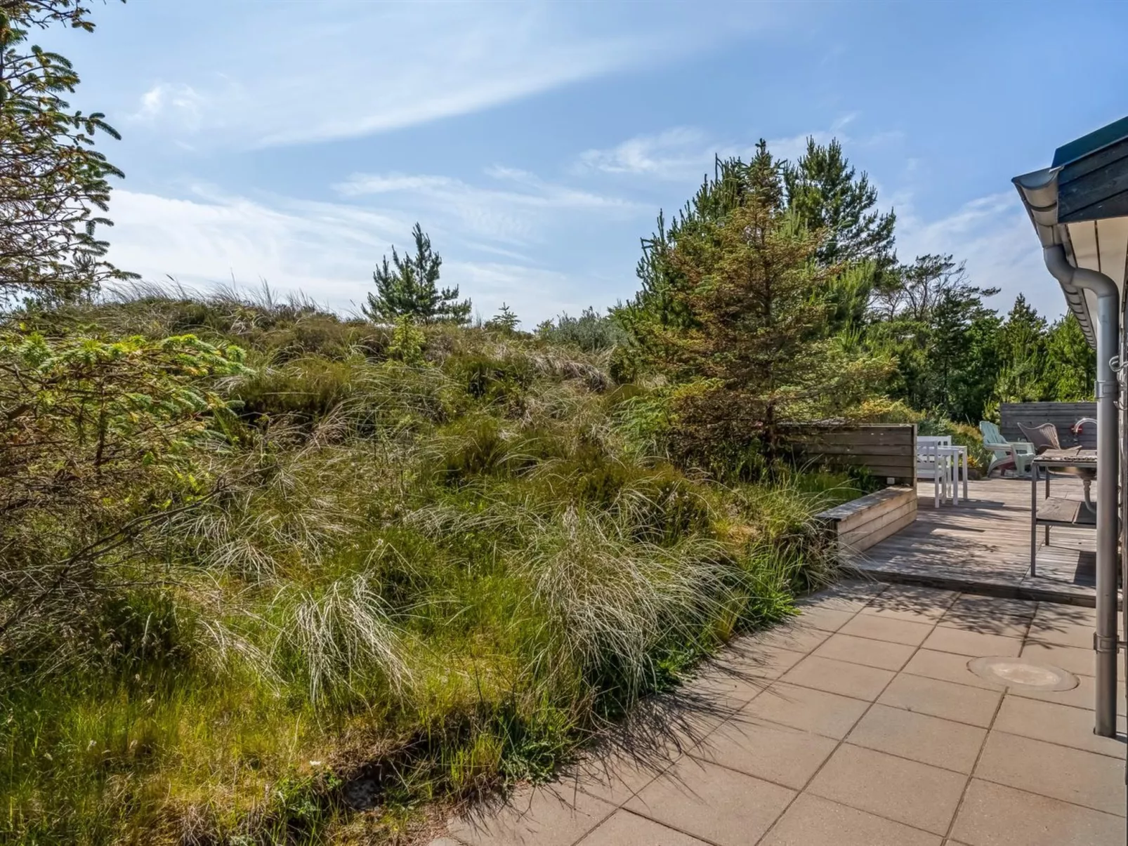 "Thorkil" - 800m from the sea-Outside