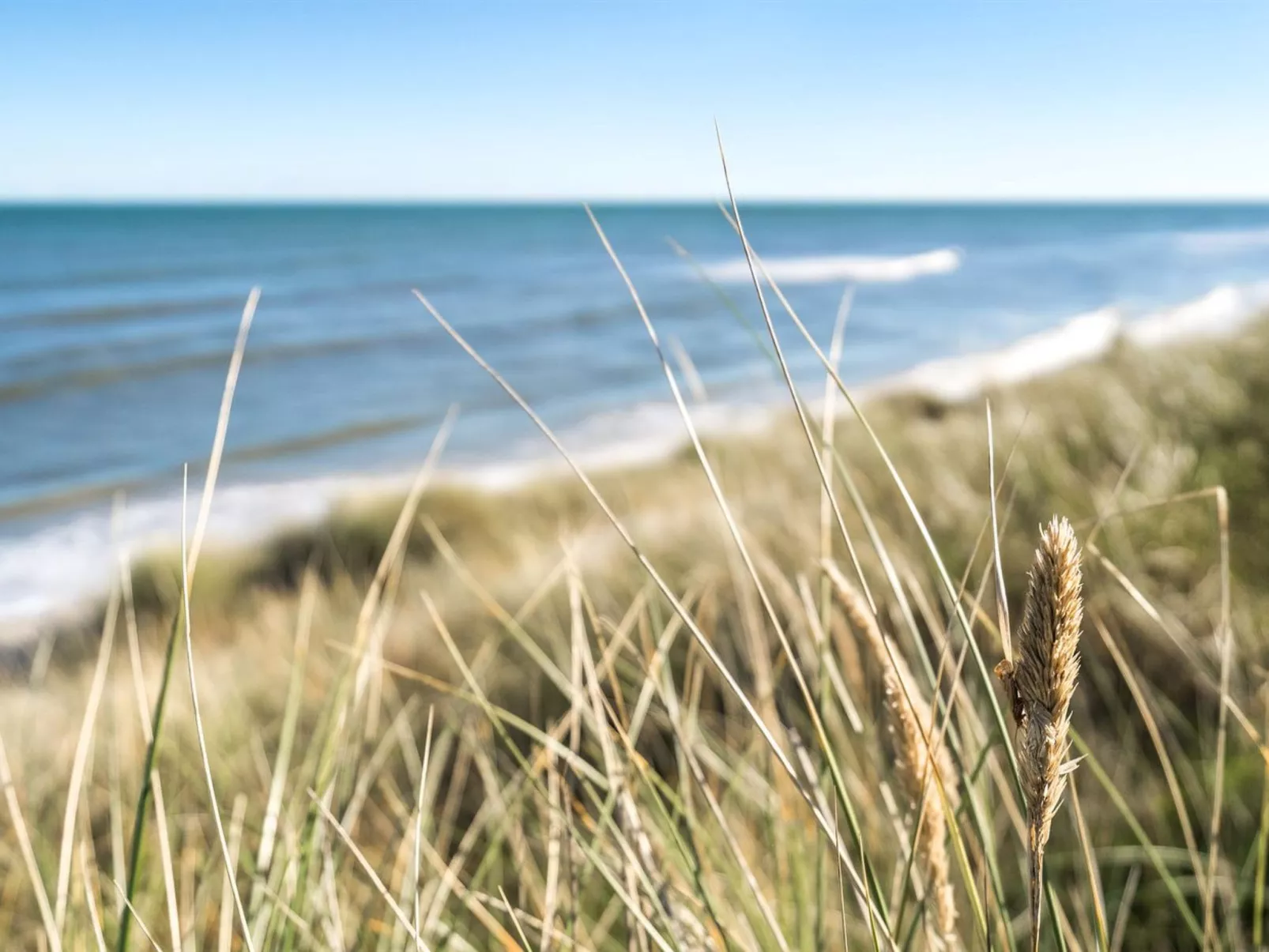 "Jeldrik" - 100m from the sea-Draußen