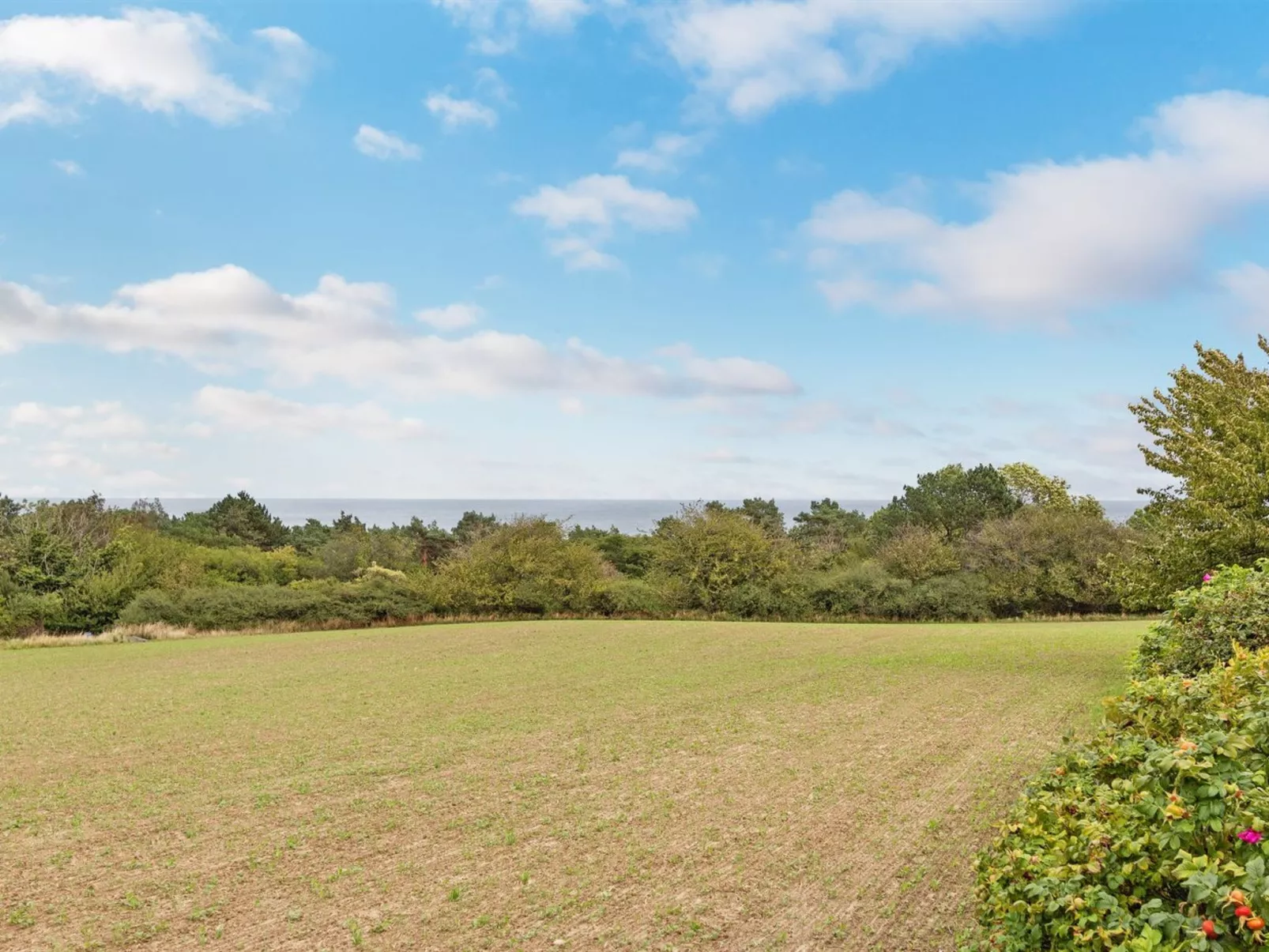 "Atte" - 300m from the sea-Draußen