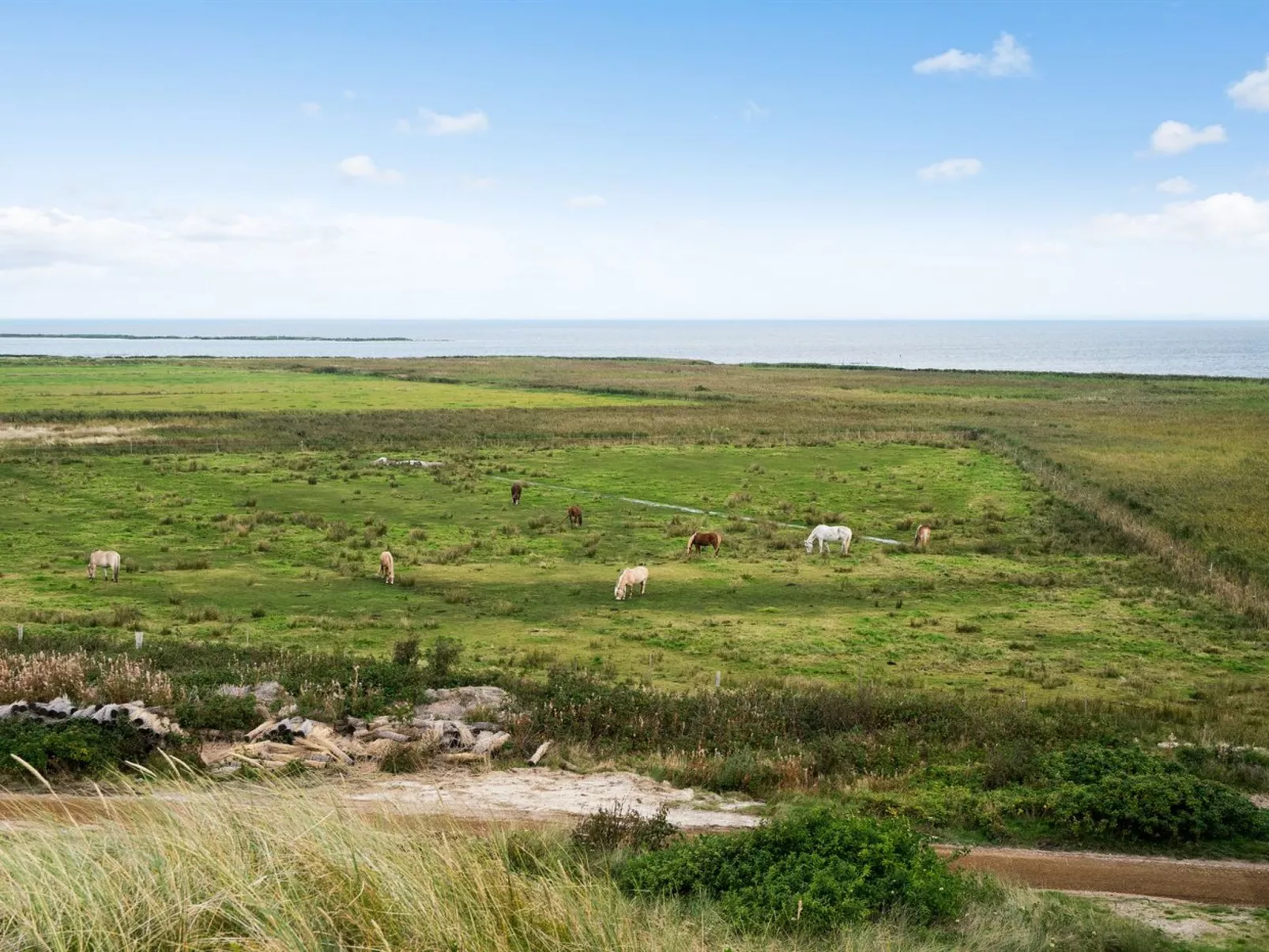 "Taja" - 300m to the fjord-Dehors