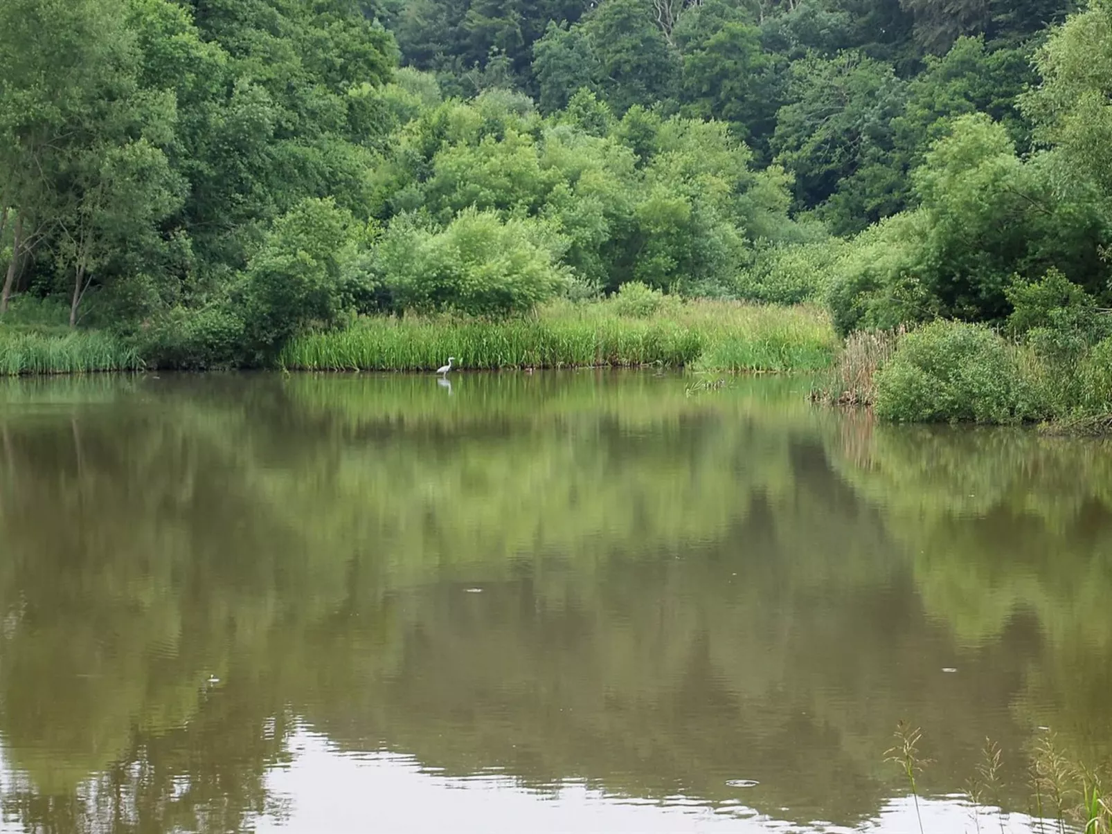 "Iorund" - 550m from the sea-Draußen