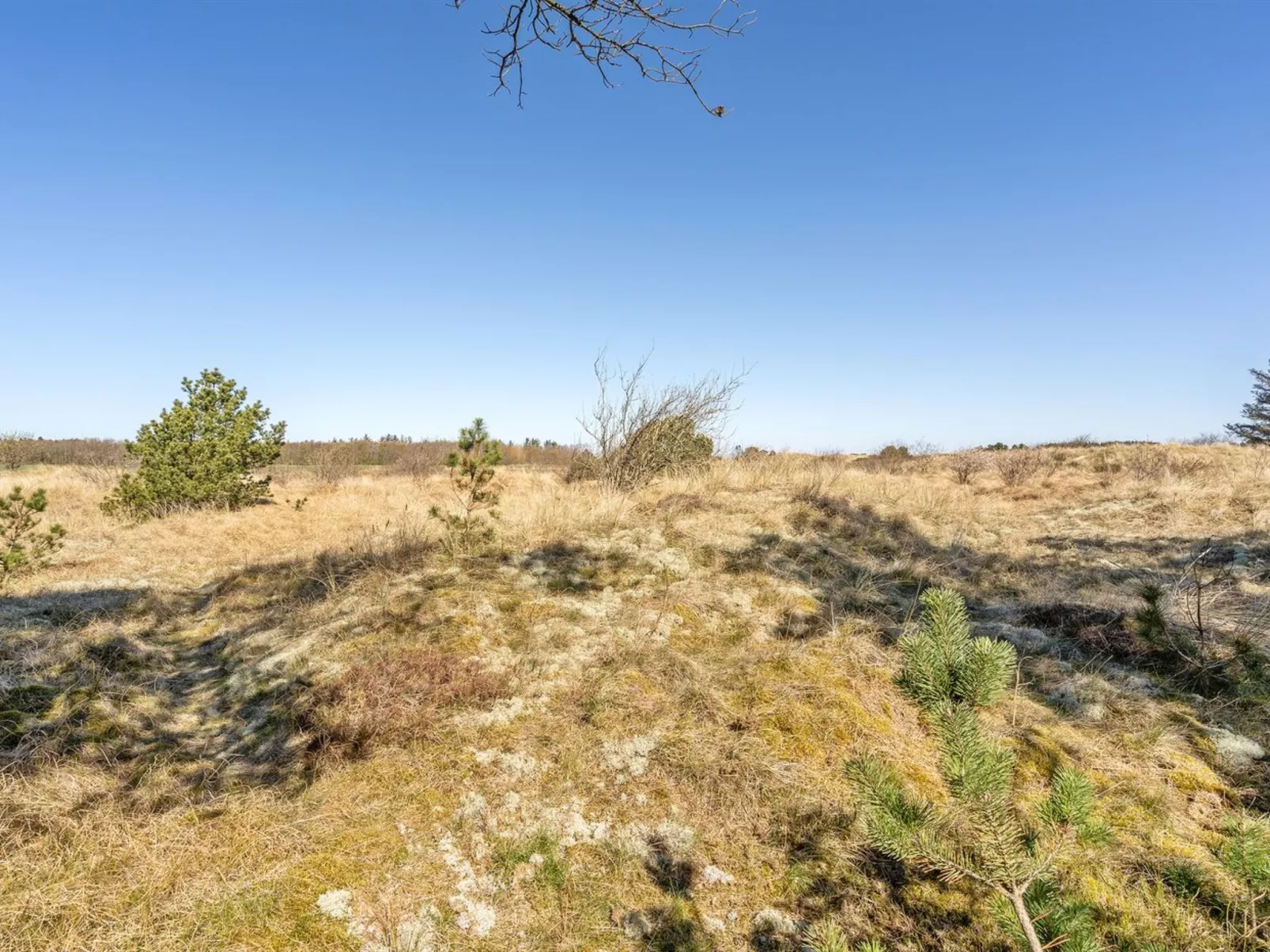 "Ødke" - 3.5km from the sea-Dehors