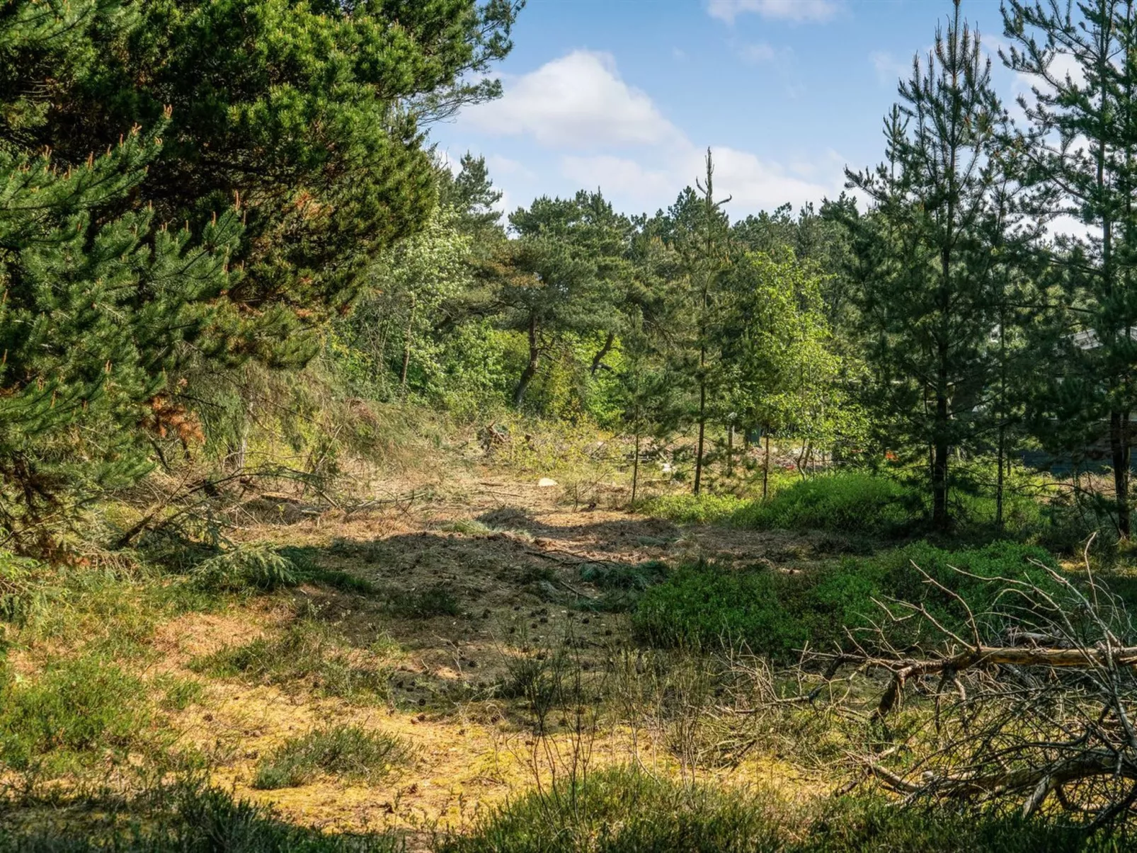 "Herborg" - 1km from the sea-Outside