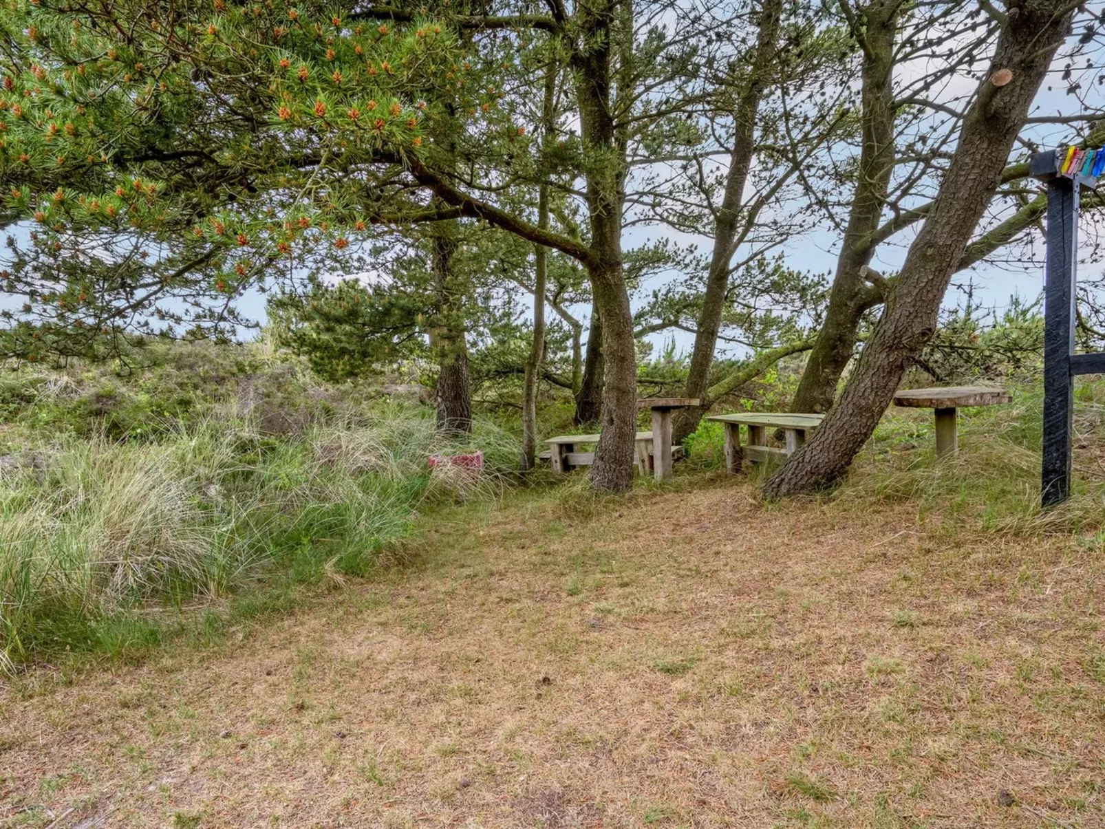 "Kathaline" - 3.4km from the sea-Outside