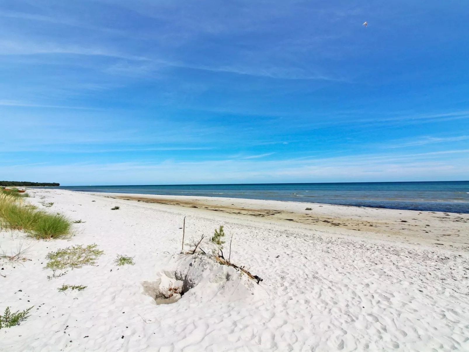 "Læff" - 50m from the sea-Draußen