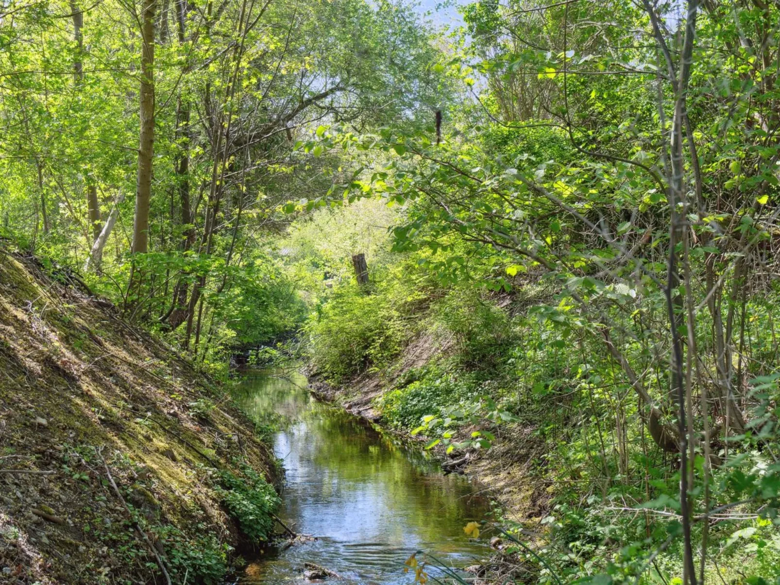 "Thora" - 800m from the sea