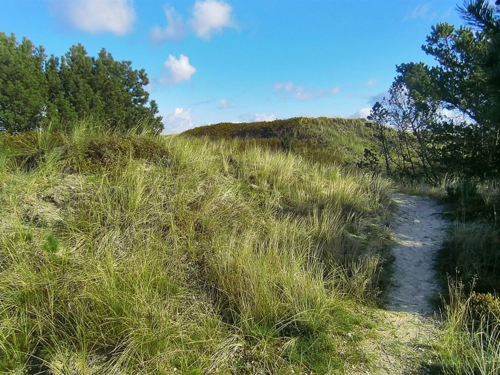 "Lewe" - 150m from the sea-Draußen