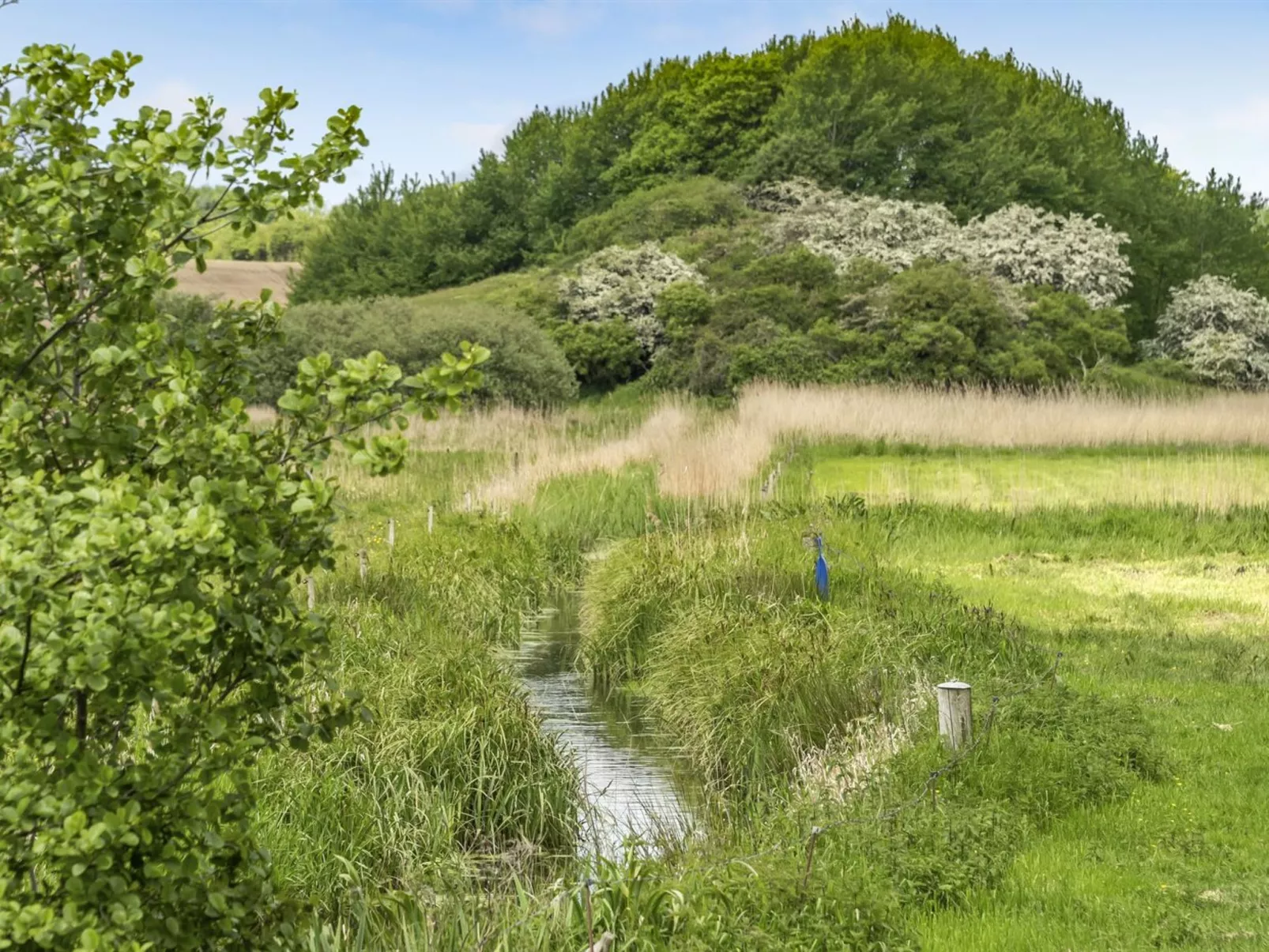 "Sigbritt" - 100m from the sea-Draußen