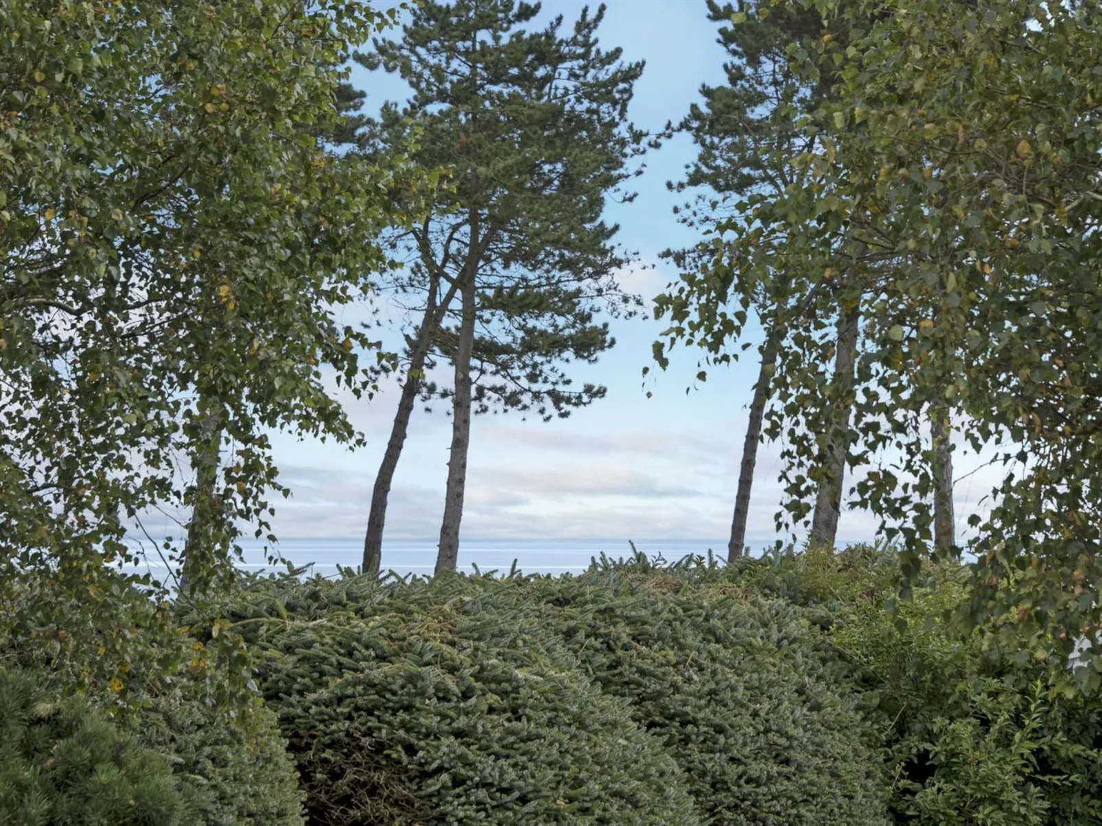 "Stamen" - 200m from the sea-Outside