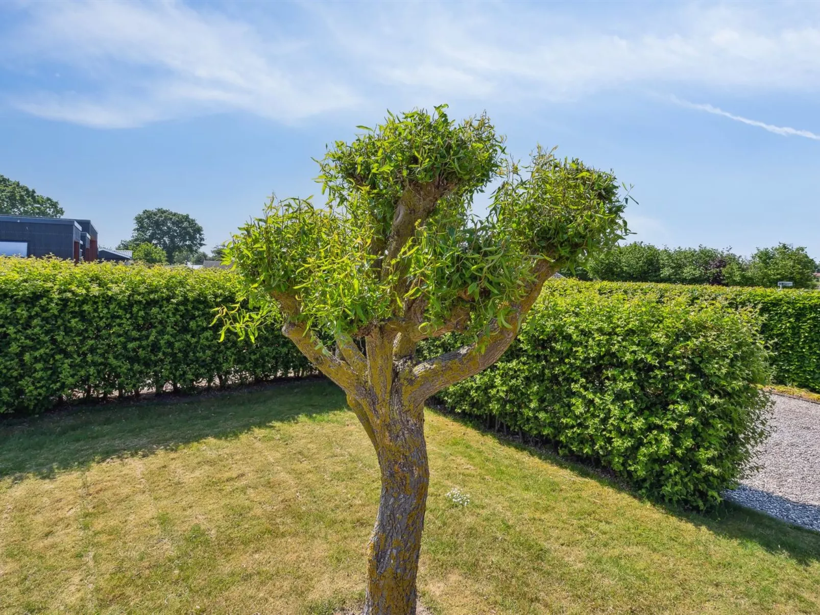 "Inge" - 300m from the sea-Draußen