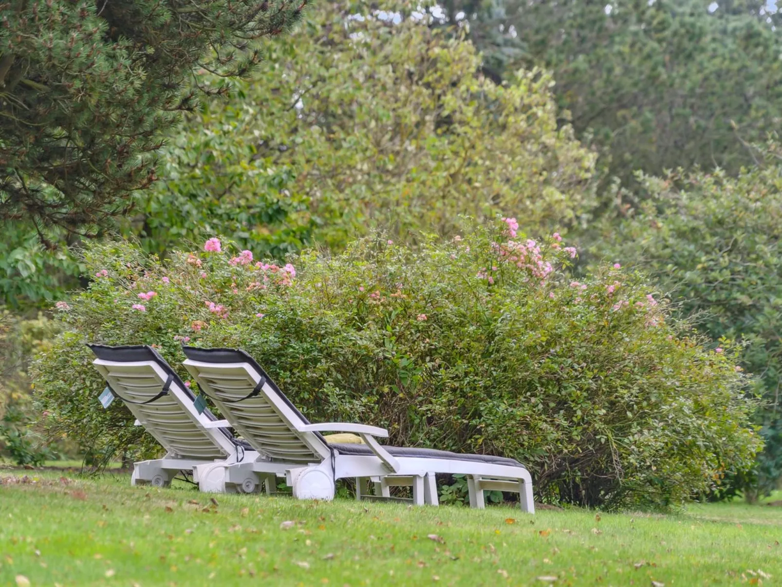 "Elisej" - 100m from the sea-Outside