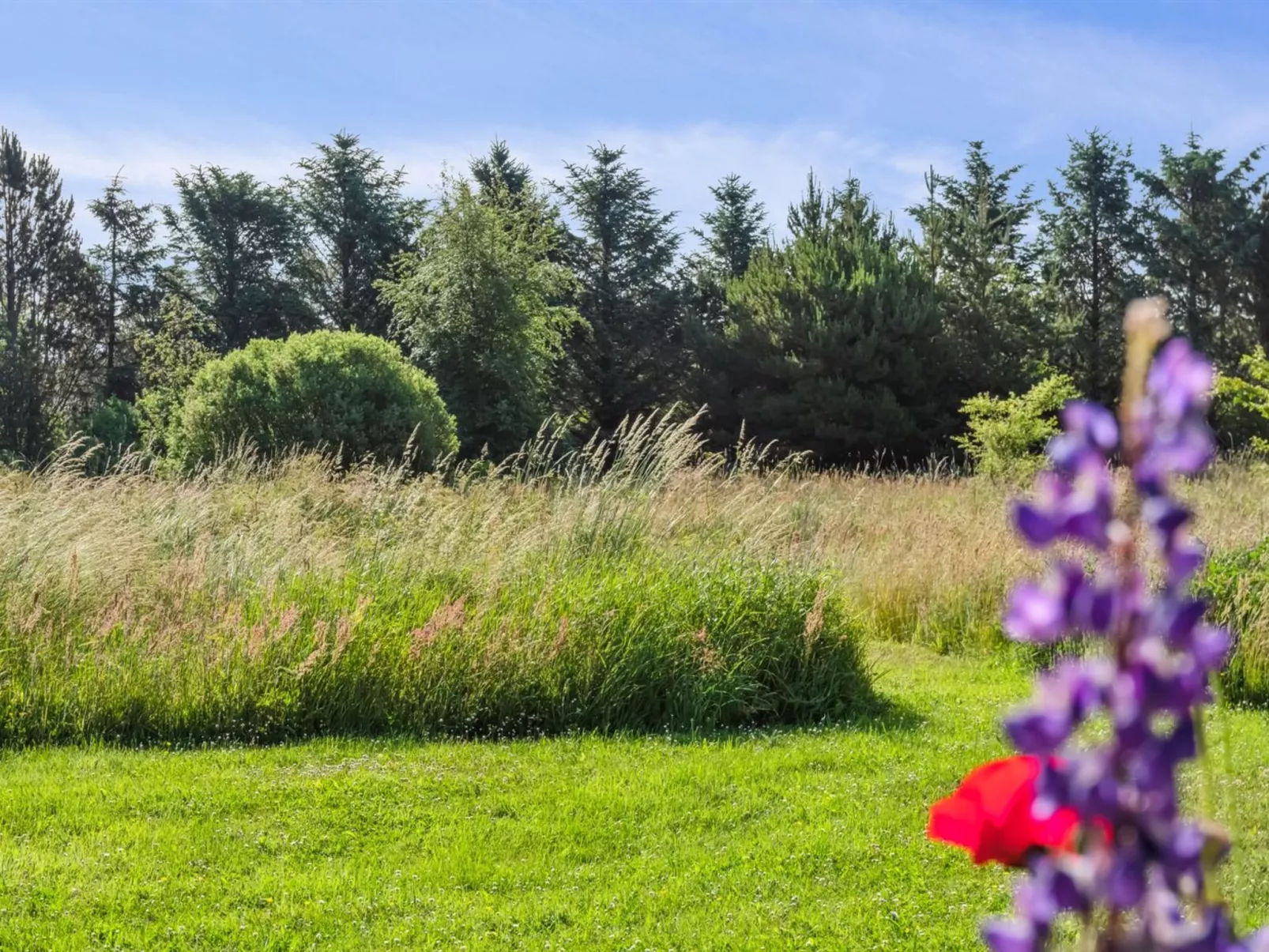 "Elsia" - 1.5km to the fjord-Outside