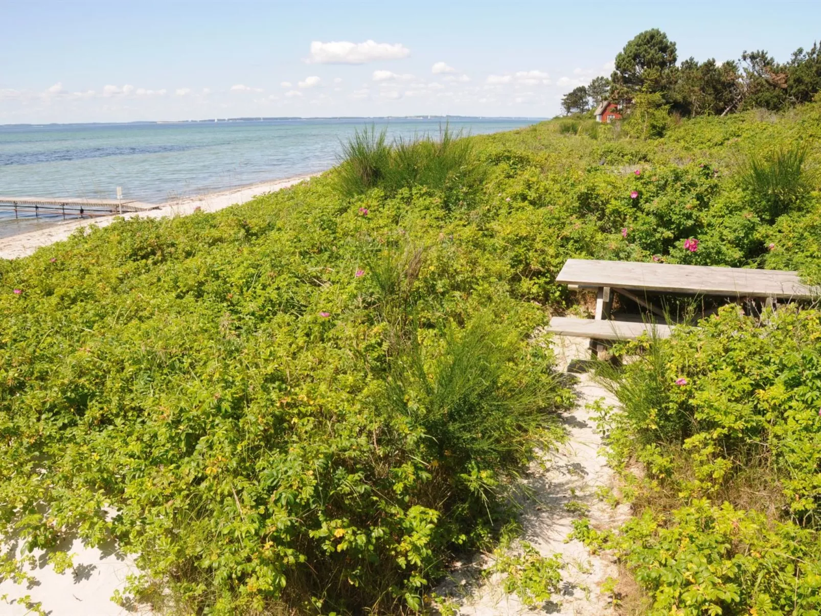 "Kalv" - 75m from the sea-Outside