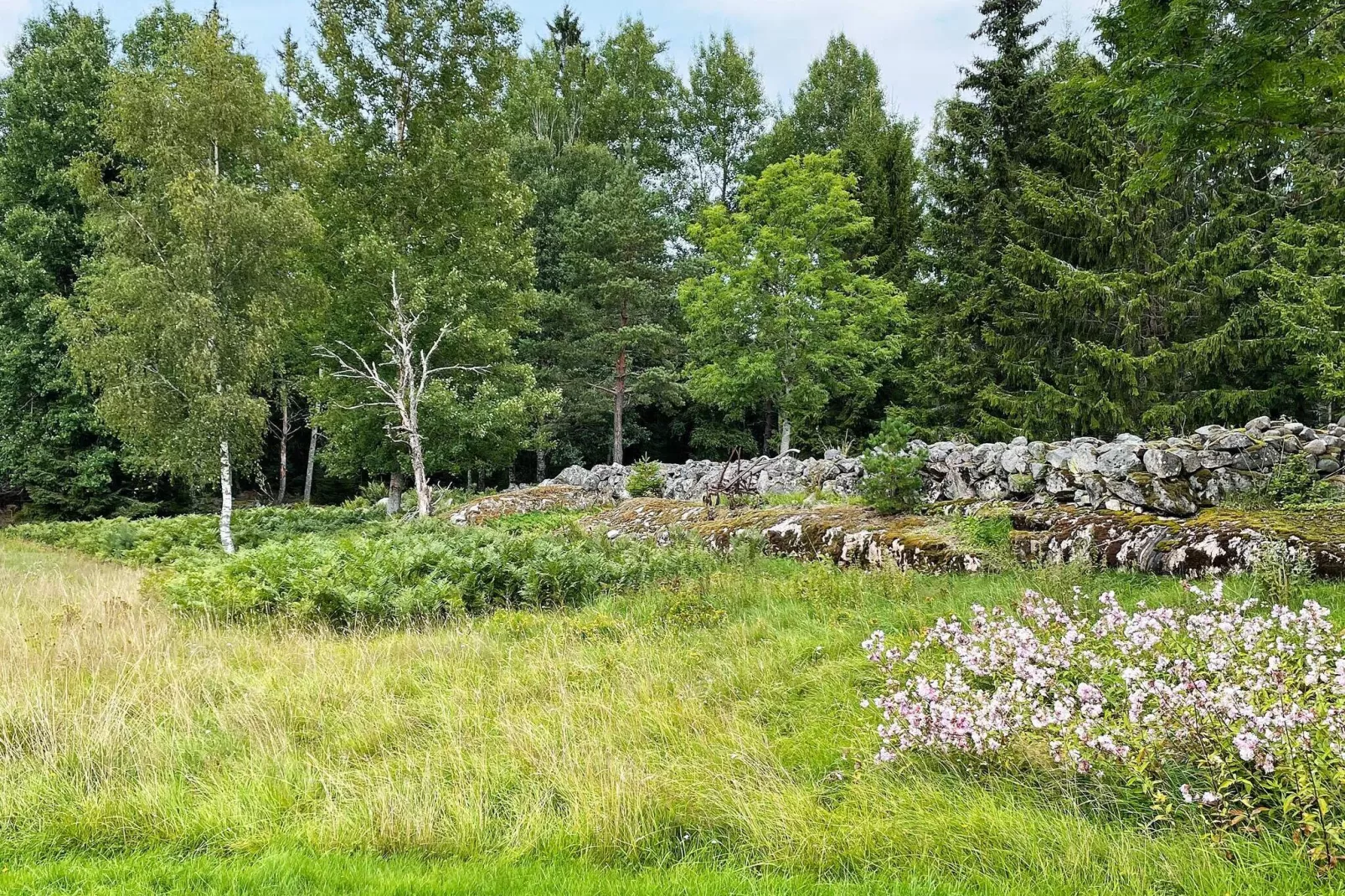 6 person holiday home in HJORTKVARN-By Traum-Outdoor