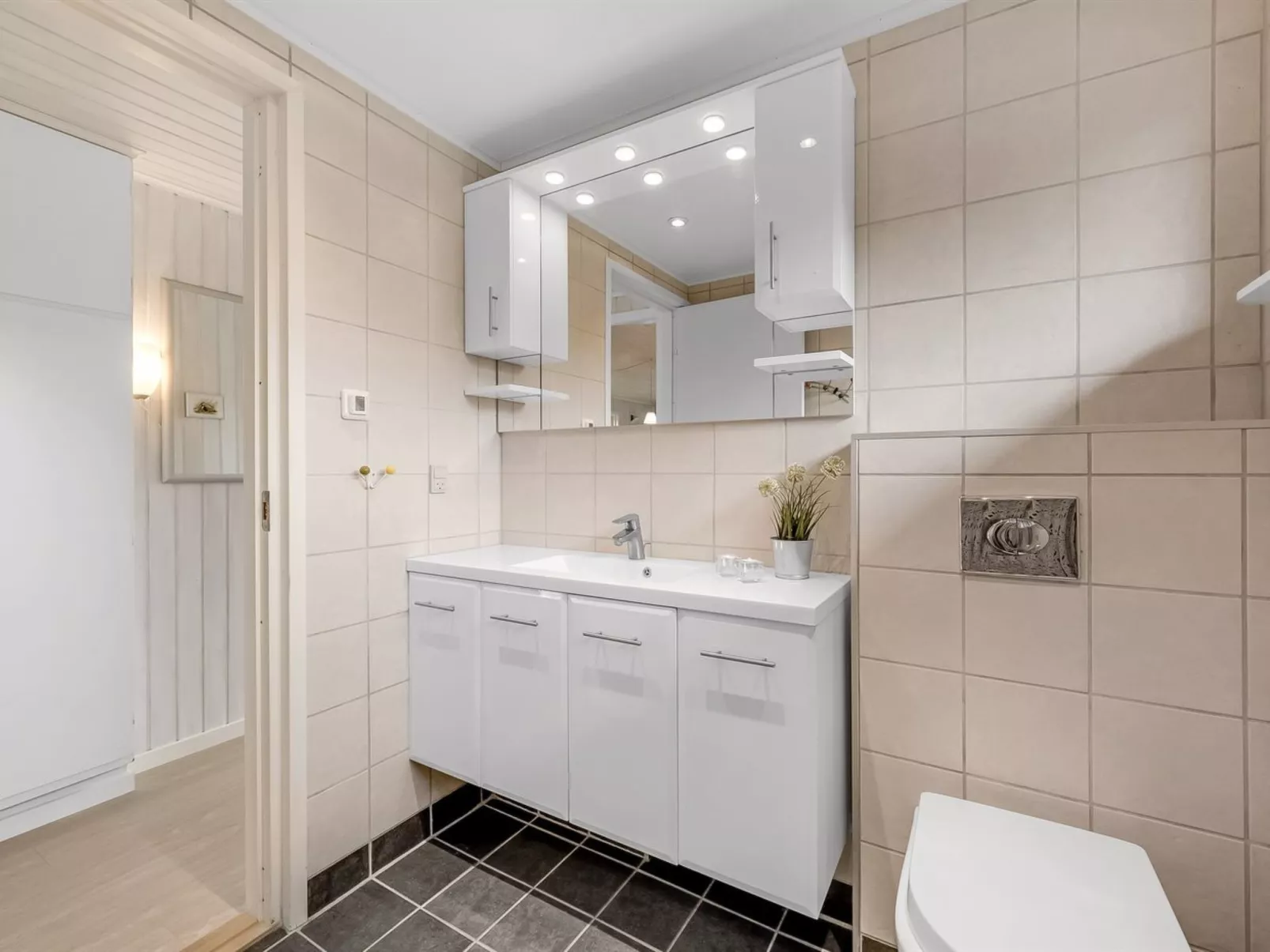 "Theodor" - 180m to the fjord-Dedans