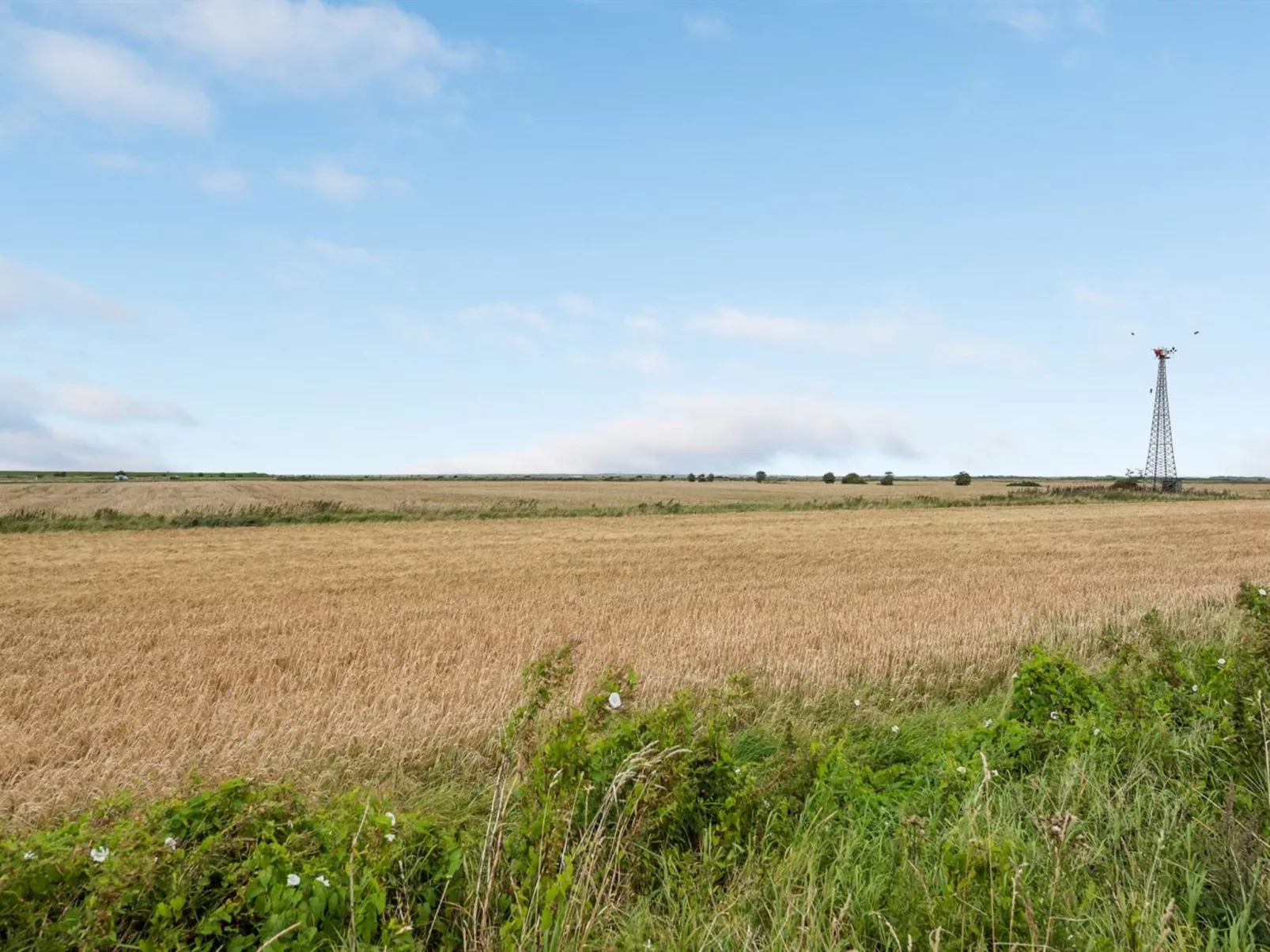 "Clausina" - 600m from the sea-Outside