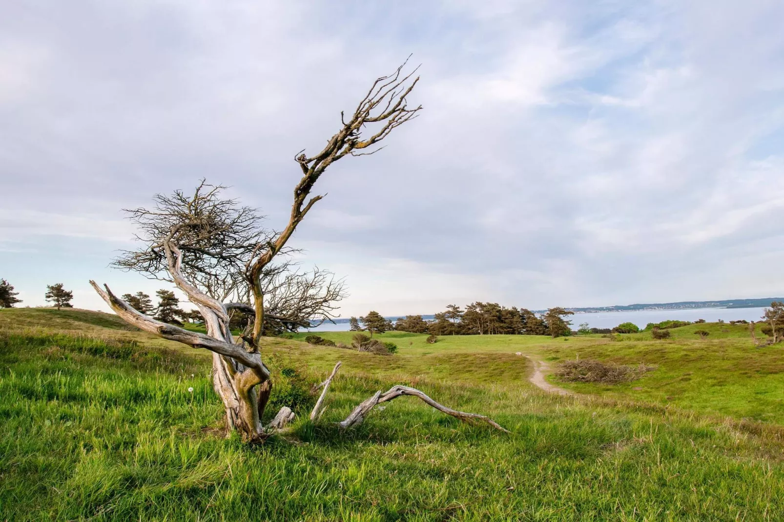 6 person holiday home in Knebel-By Traum-Untagged