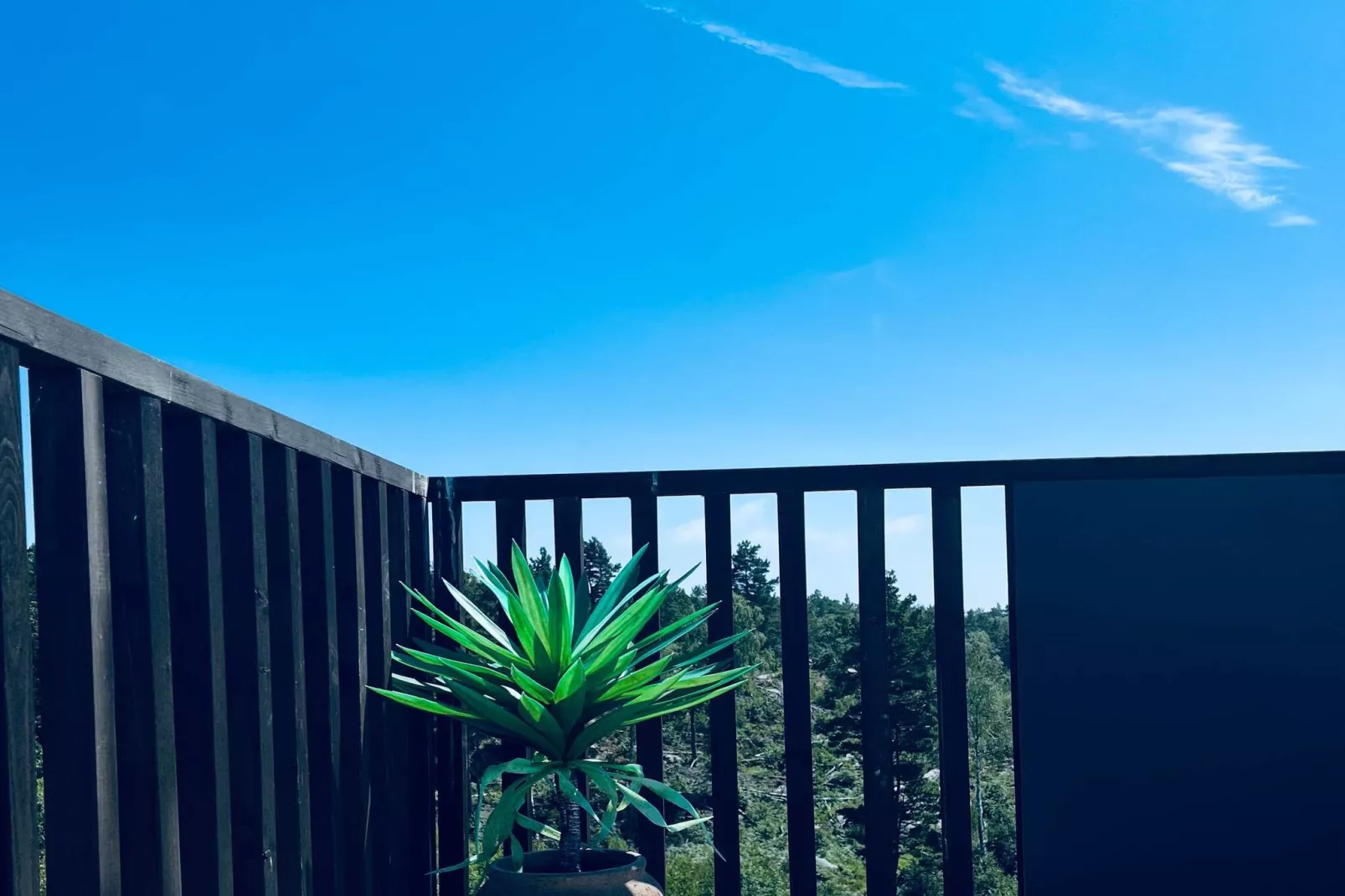 6 person holiday home in Søndeled-By Traum-Outdoor