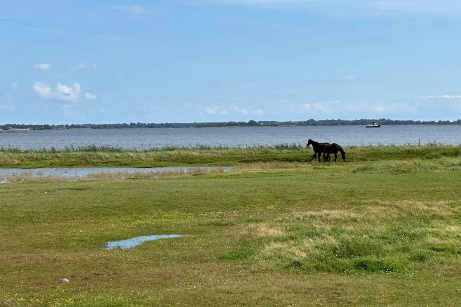 6-Personen-Haus in Ærøskøbing-By-Wasserblick