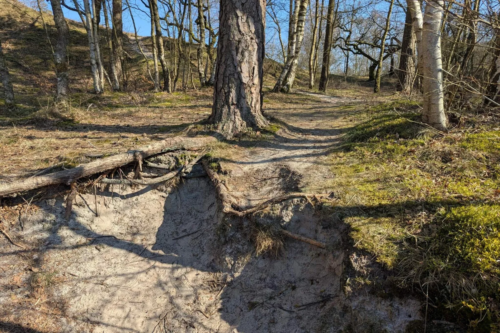 6 person holiday home in Henne-Untagged