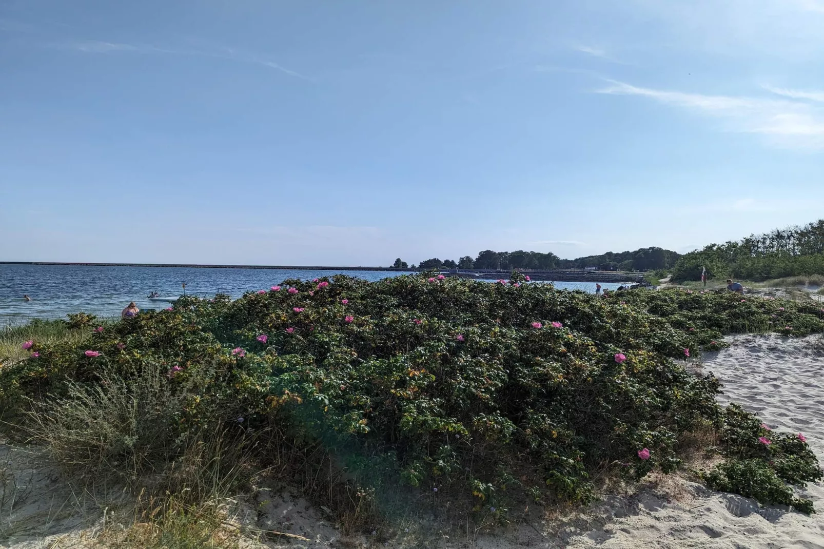 Maison de vacances pour 3 a HUNVIGAN-By Traum-Vue sur l'eau