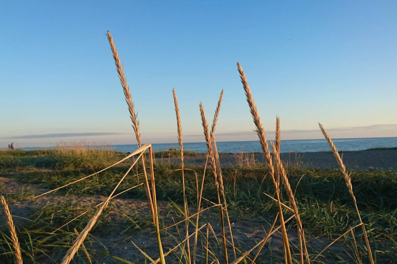 Cozy Seaside Retreat in Eno-By Traum-Untagged