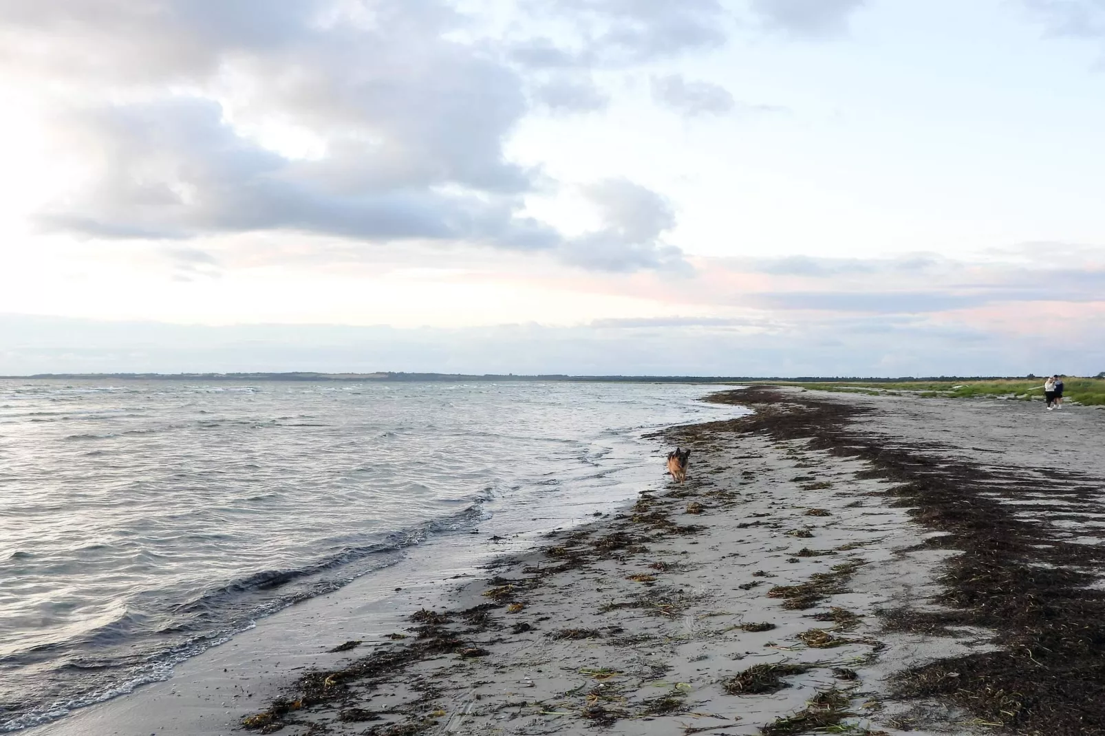 5 Sterne Ferienhaus in Vig-By Traum-Wasserblick
