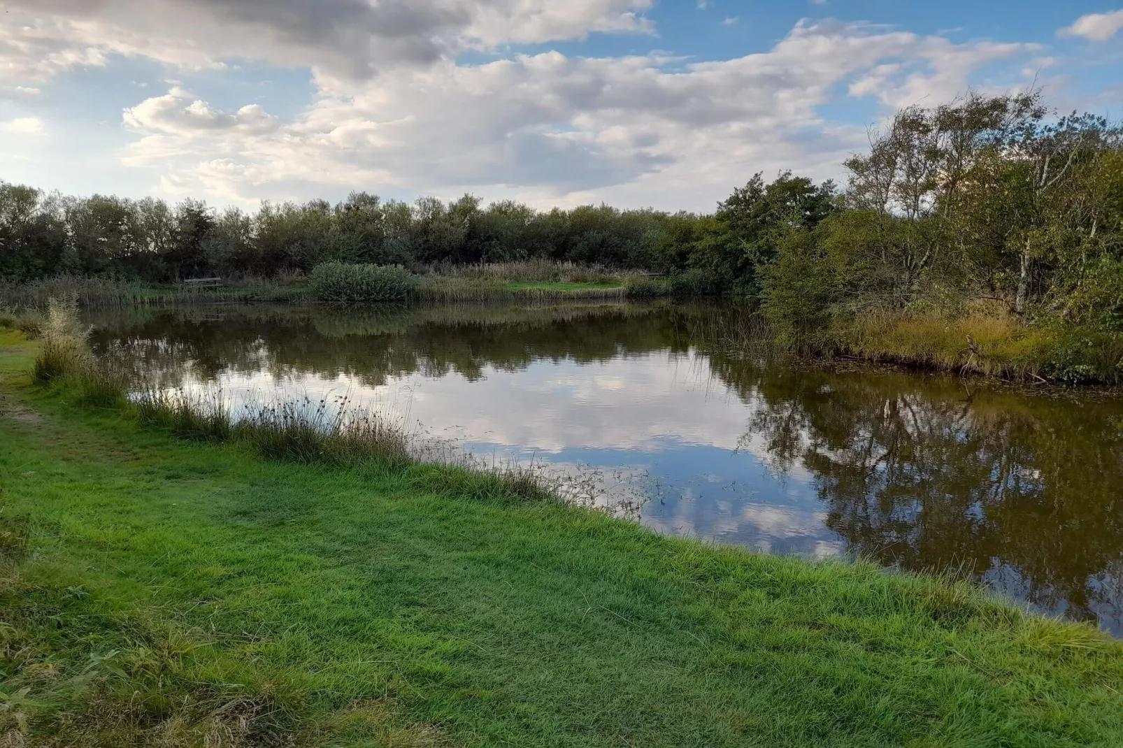 Maison de vacances pour 5 a Skjern-By Traum