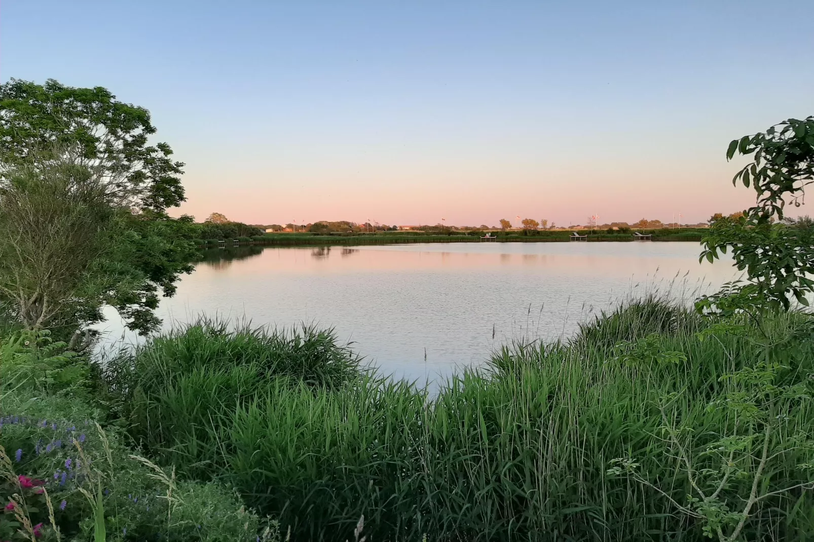 SeeZeichen auf Nordstrand - 4 Personen-Areas within 1km in summer