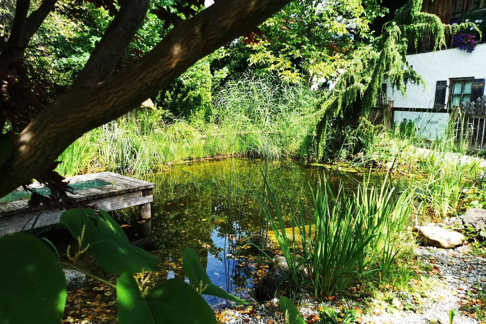 Ferienhaus-Gardens summer