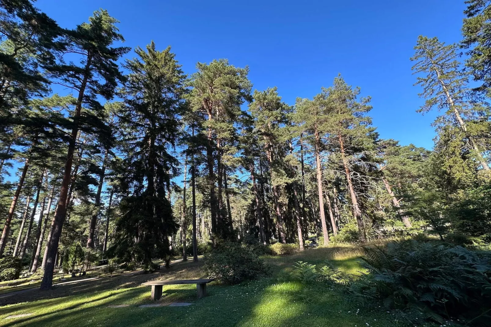 4 etoiles maison de vacances a ENSKEDE-By Traum-Non tagué