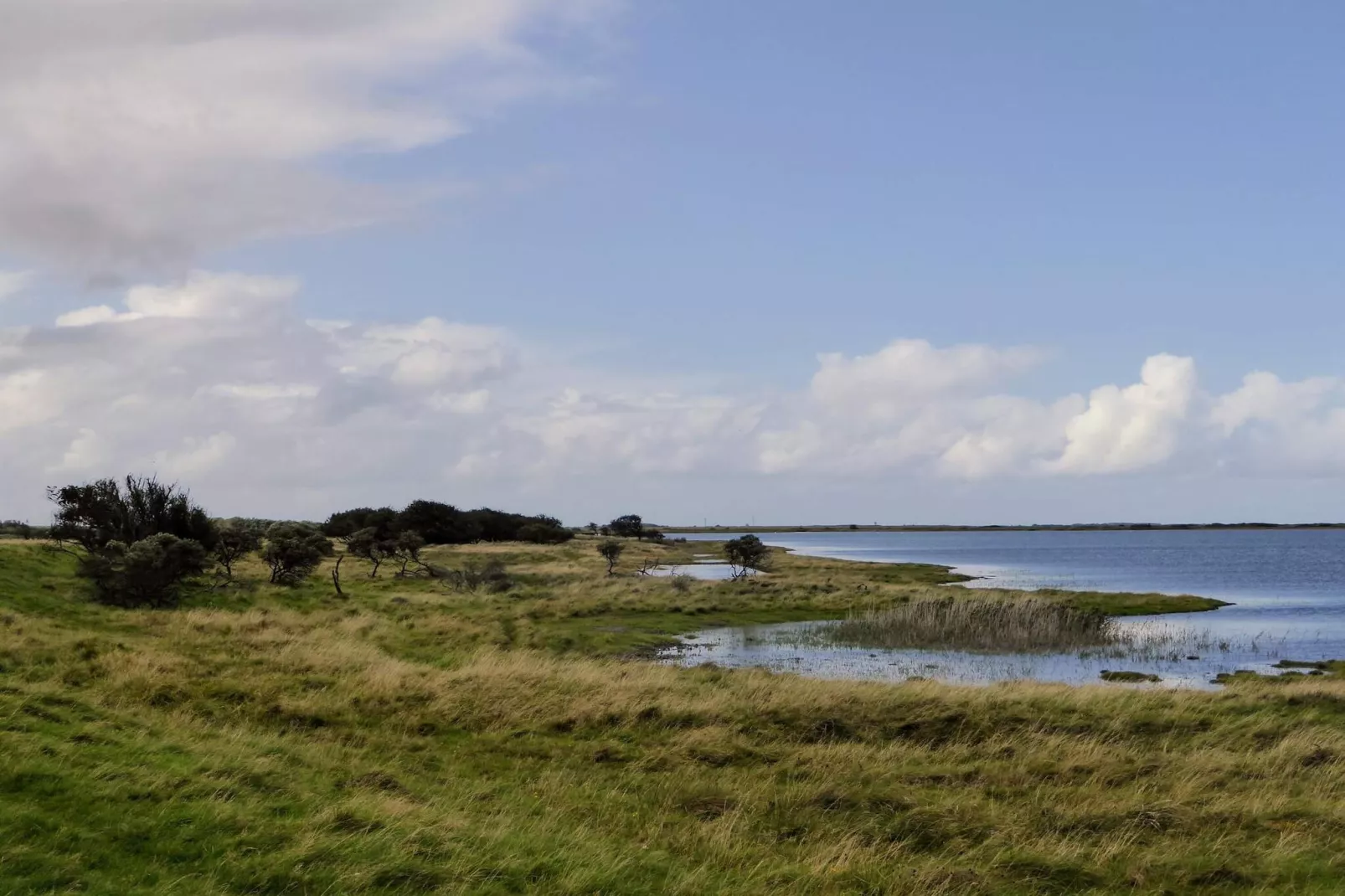 5 star holiday home in Lemvig-By Traum-Water view