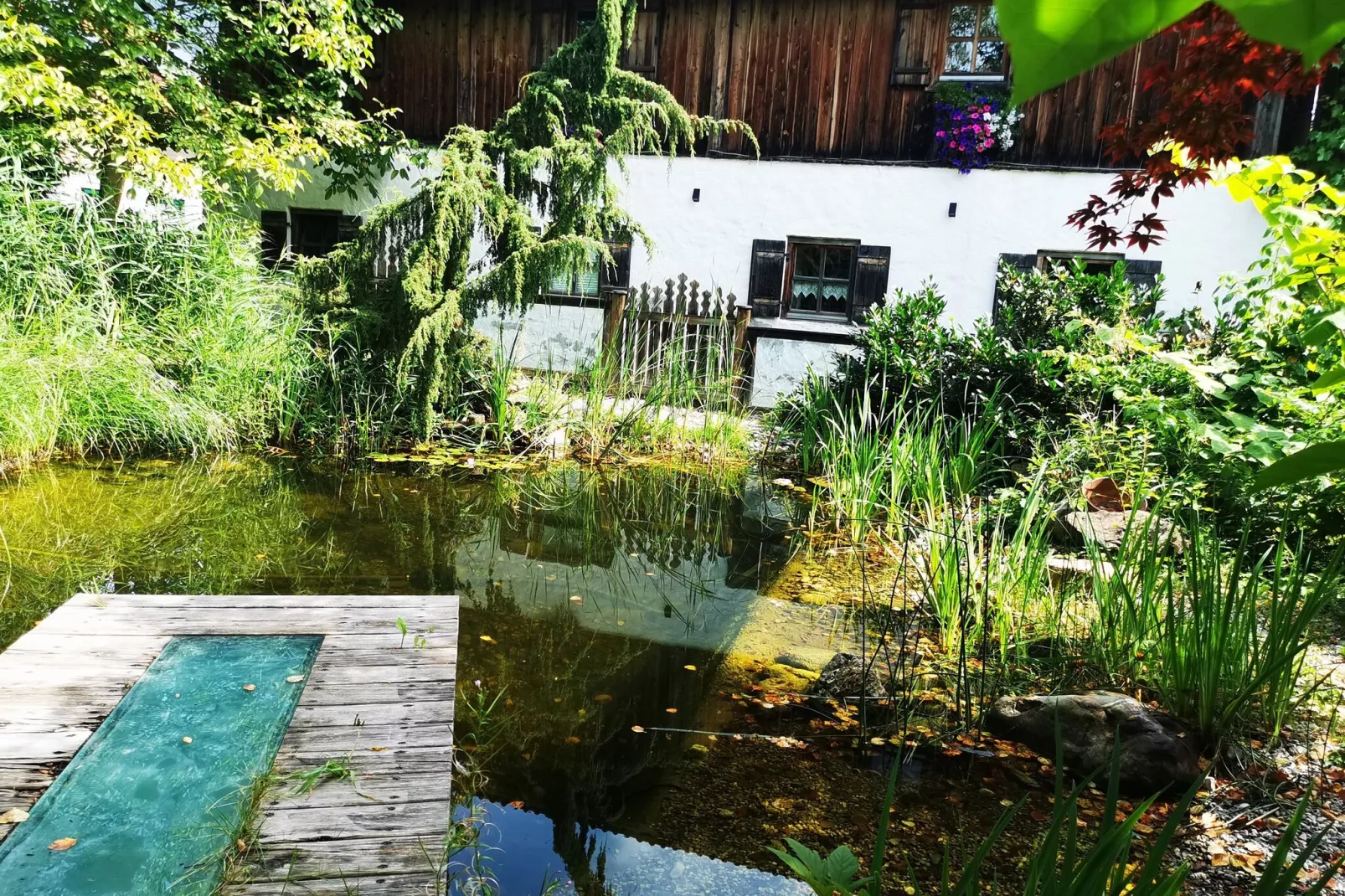 Ferienhaus-Gardens summer