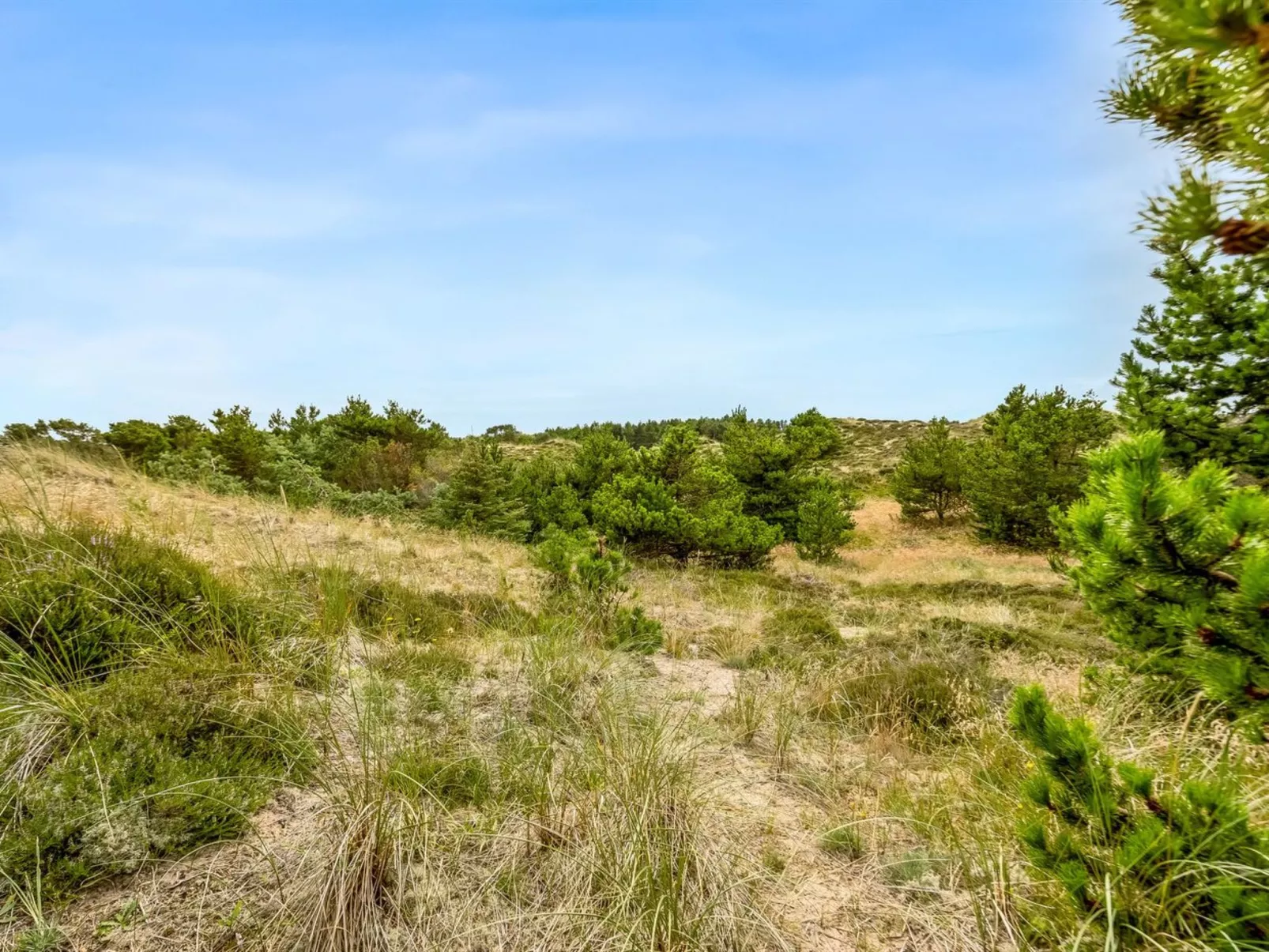 "Vemund" - 300m from the sea-Outside