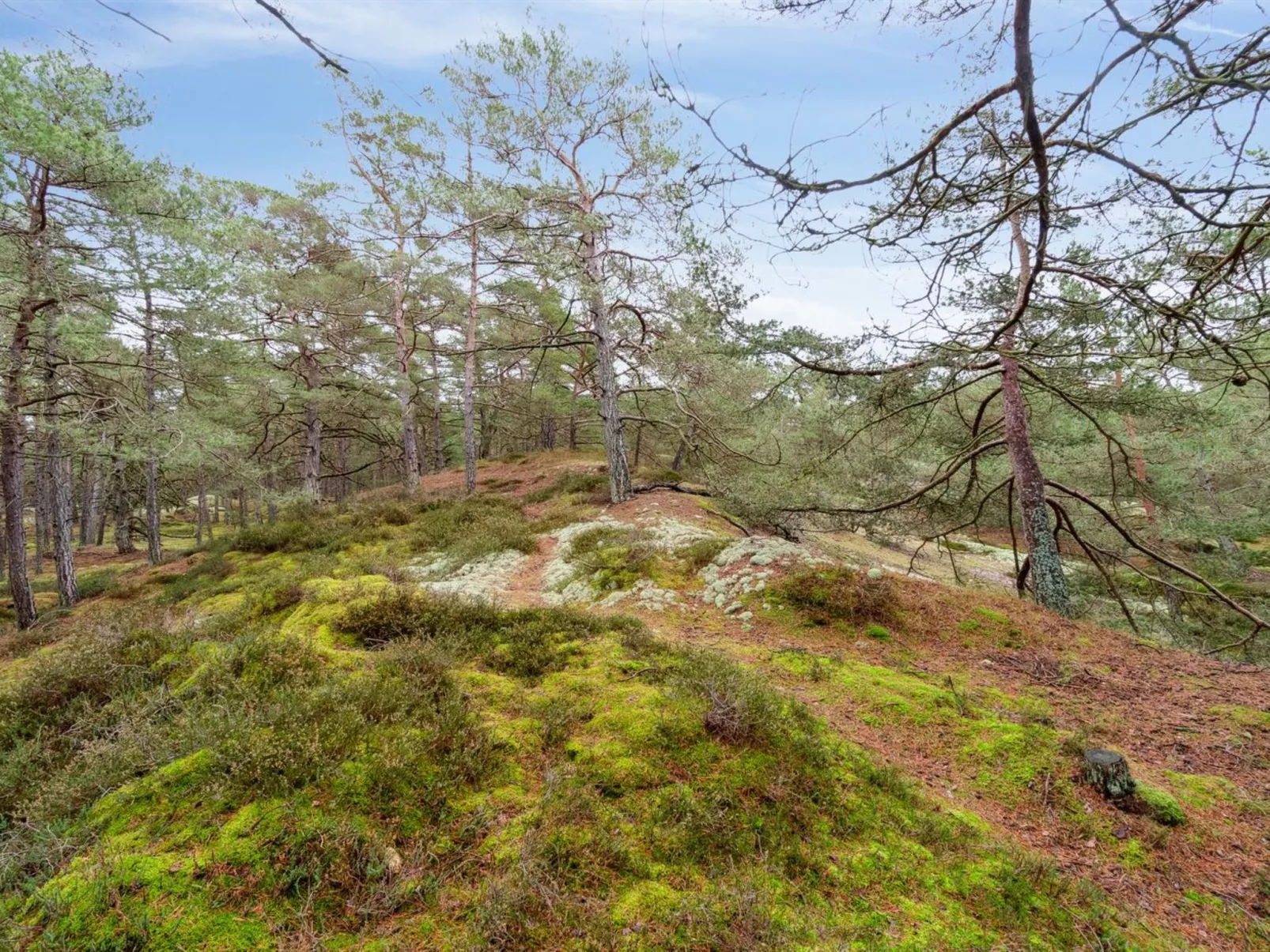 "Micaela" - 450m from the sea-Outside