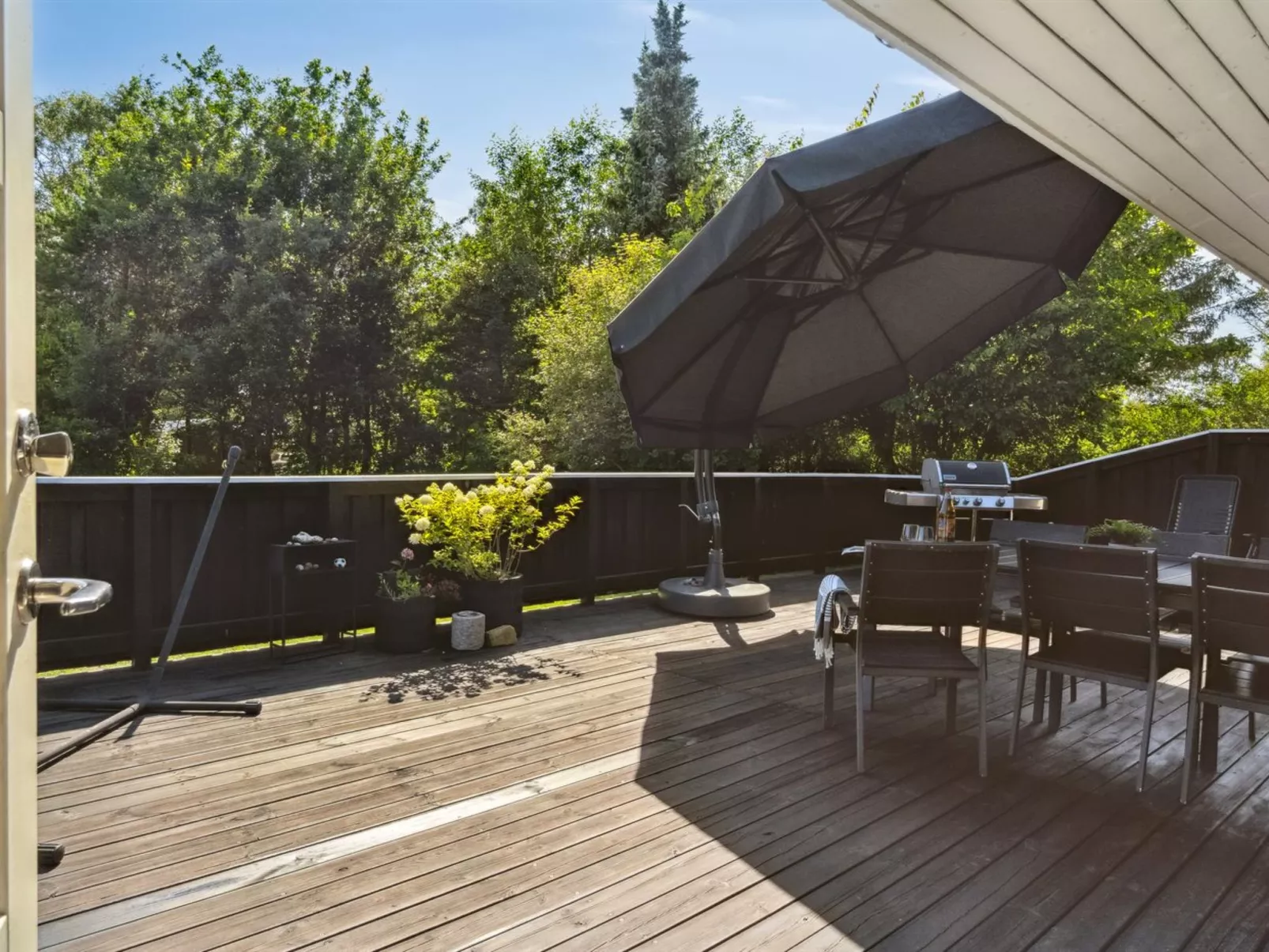 "Felippa" -  from the sea-Dehors