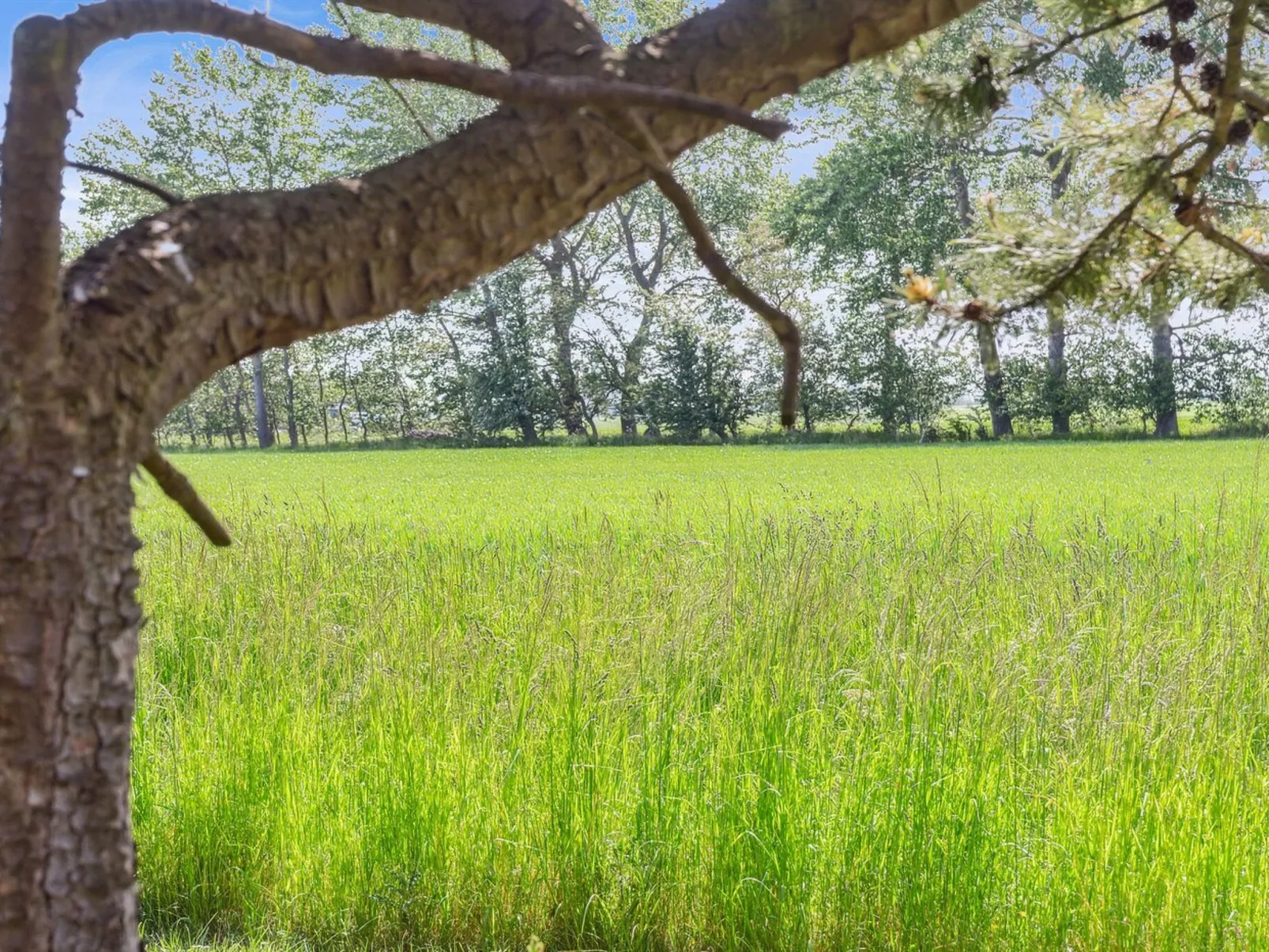 "Konrad" - 700m from the sea-Outside