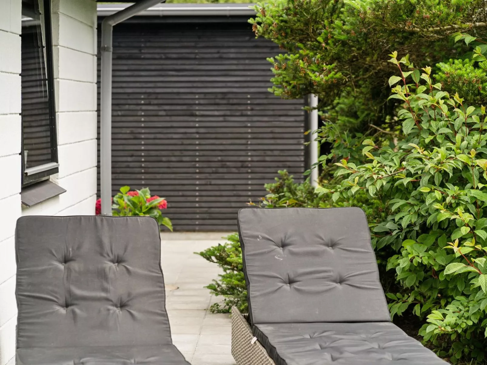 "Agnita" - 8km from the sea-Dehors