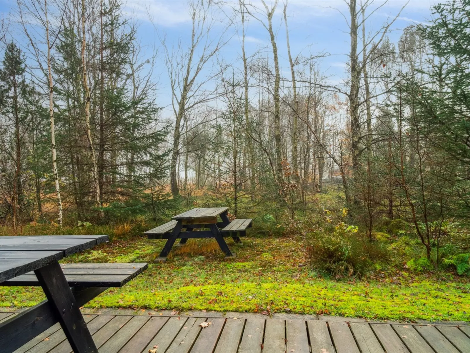 "Patrik" - 200m to the fjord-Outside