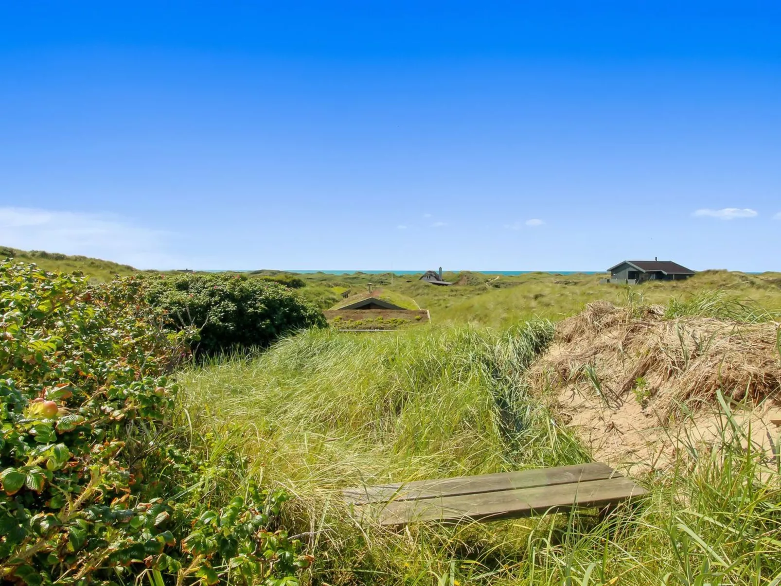 "Hoat" - 300m from the sea-Draußen