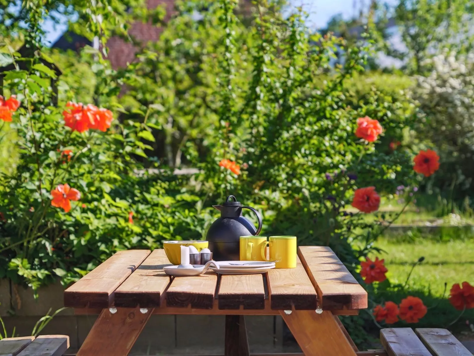 "Bartha" - 3km from the sea-Dehors