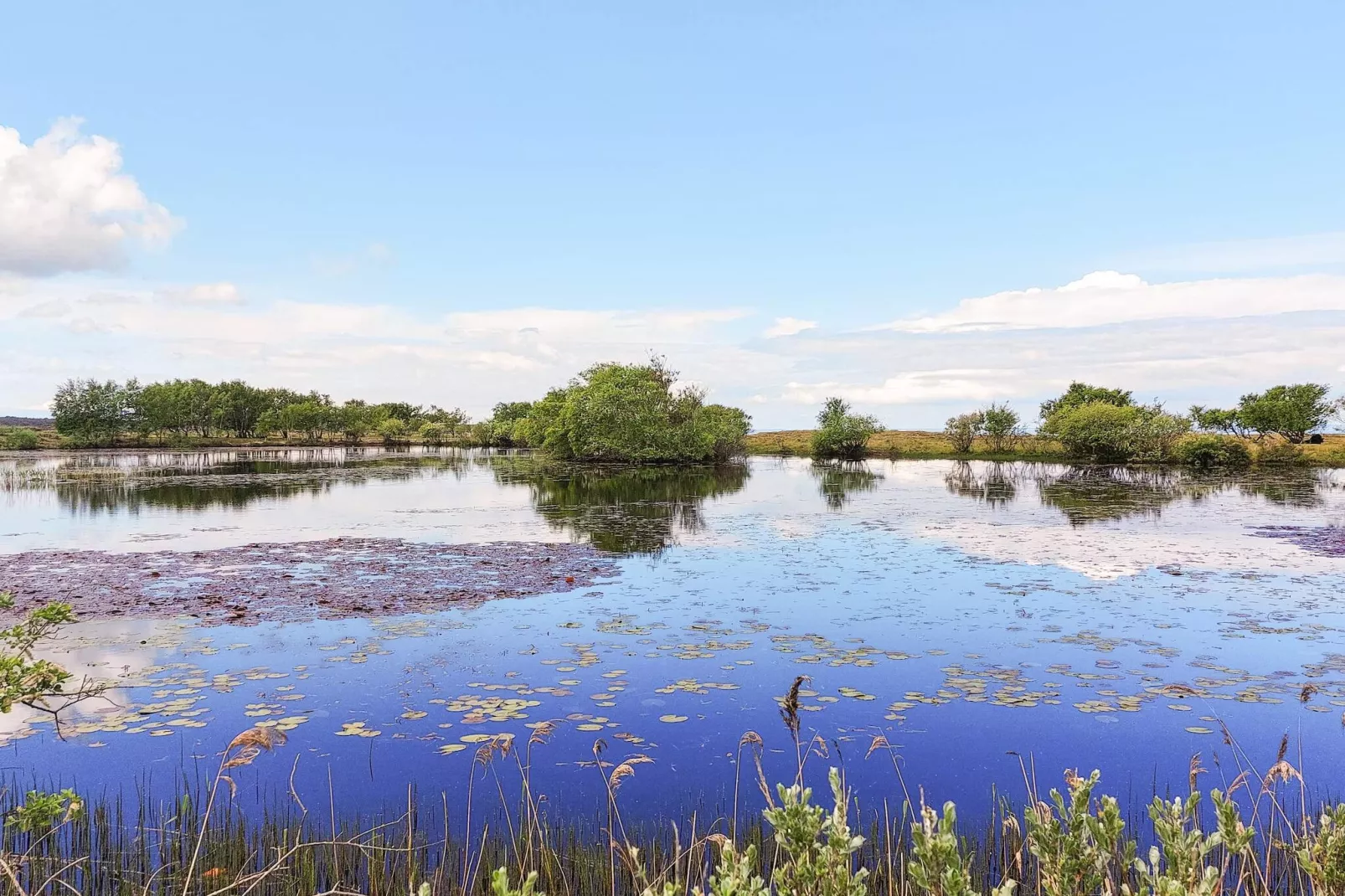 3 vær.2v.+2b.Familie-Wasserblick