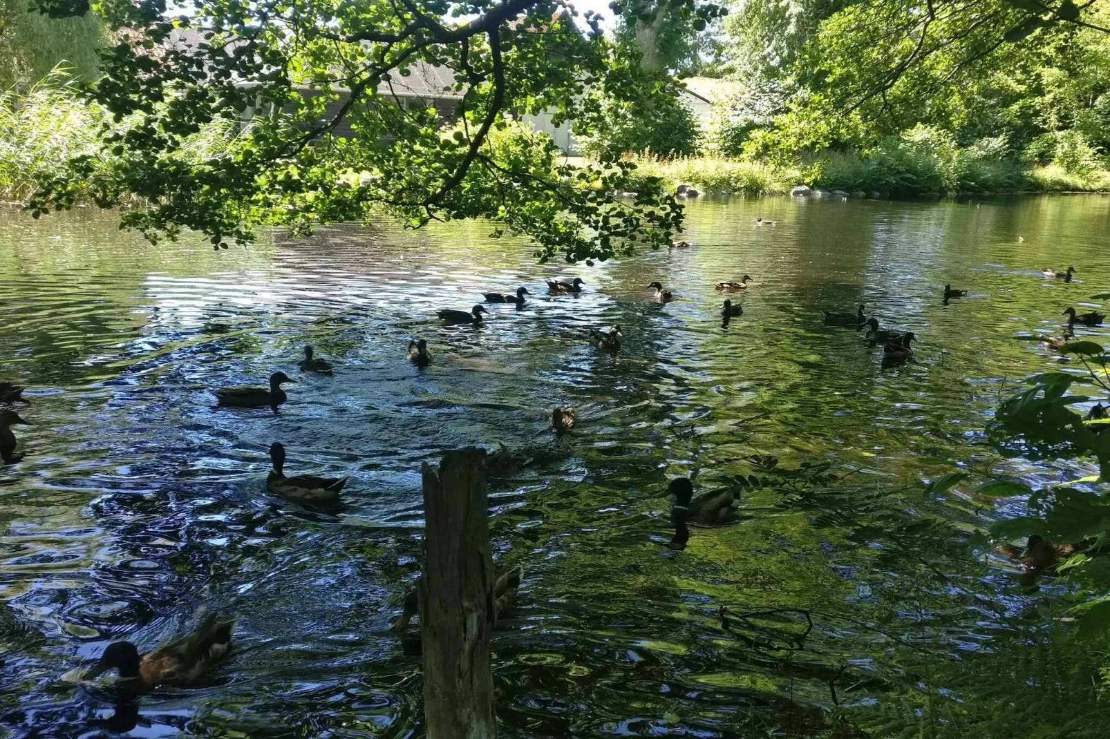 4 Personen Ferienhaus in Hadsund-By Traum-Wasserblick