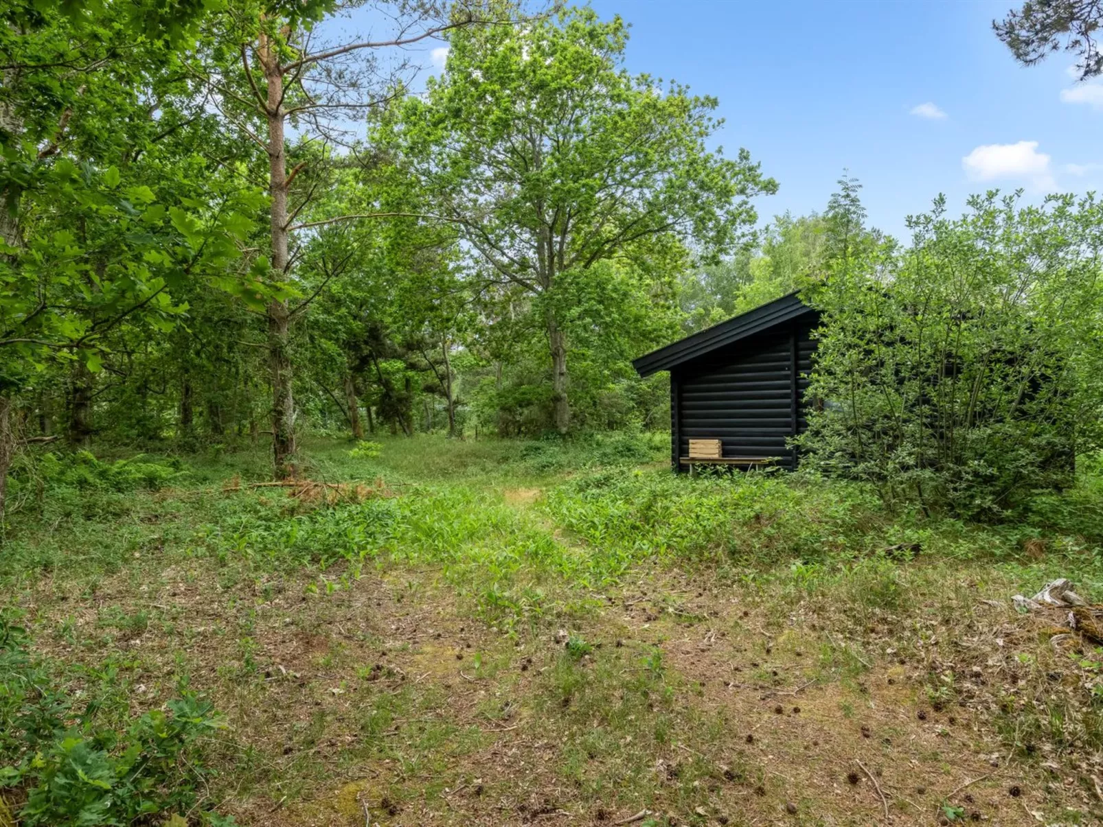 "Juho" - 700m from the sea-Draußen