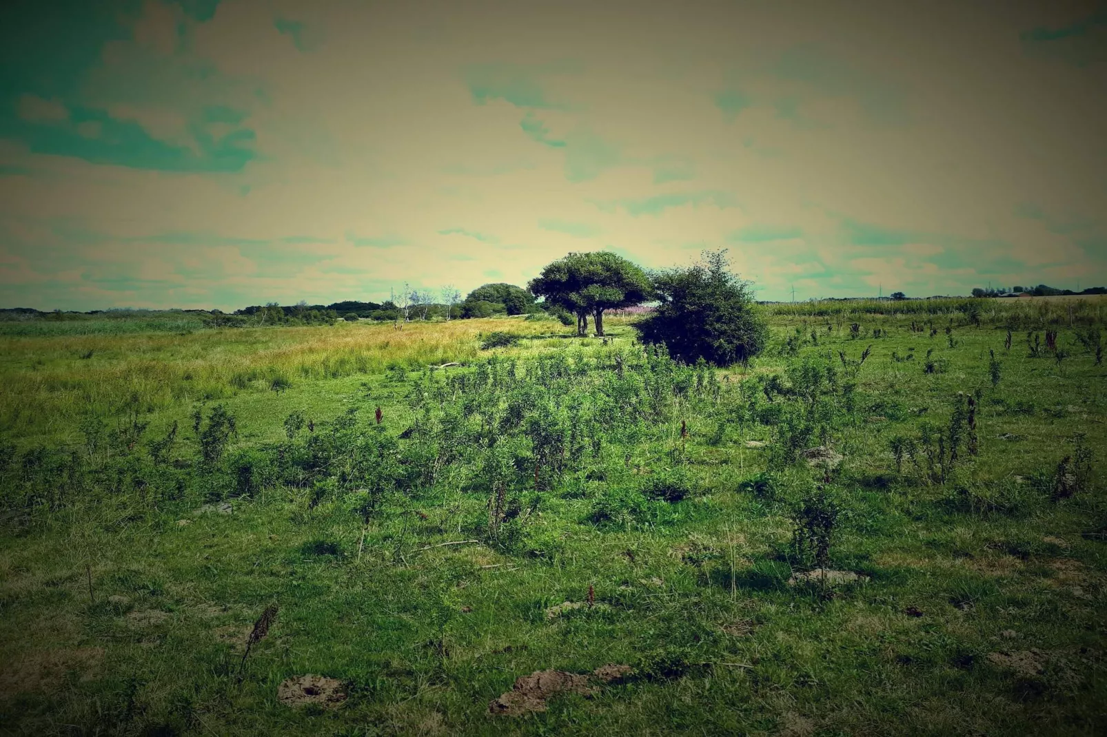 Maison de vacances pour 4 a Bredebro-By Traum-Non tagué