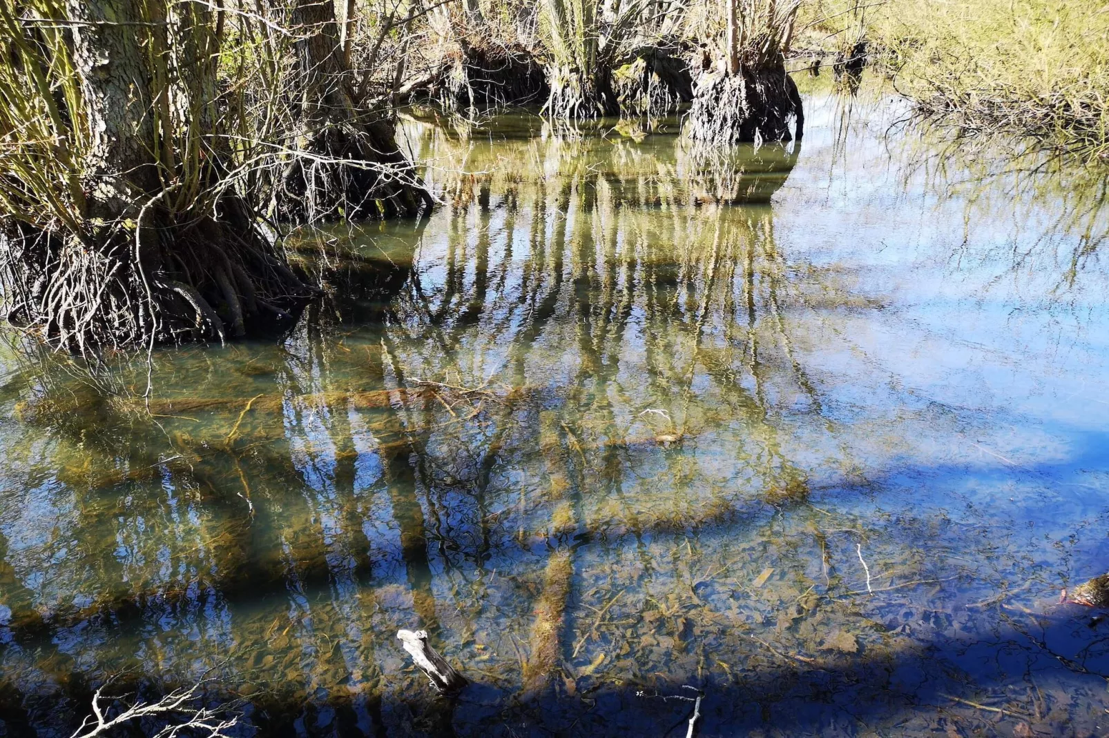 Maison de vacances pour 4 a Borre-Vue sur l'eau