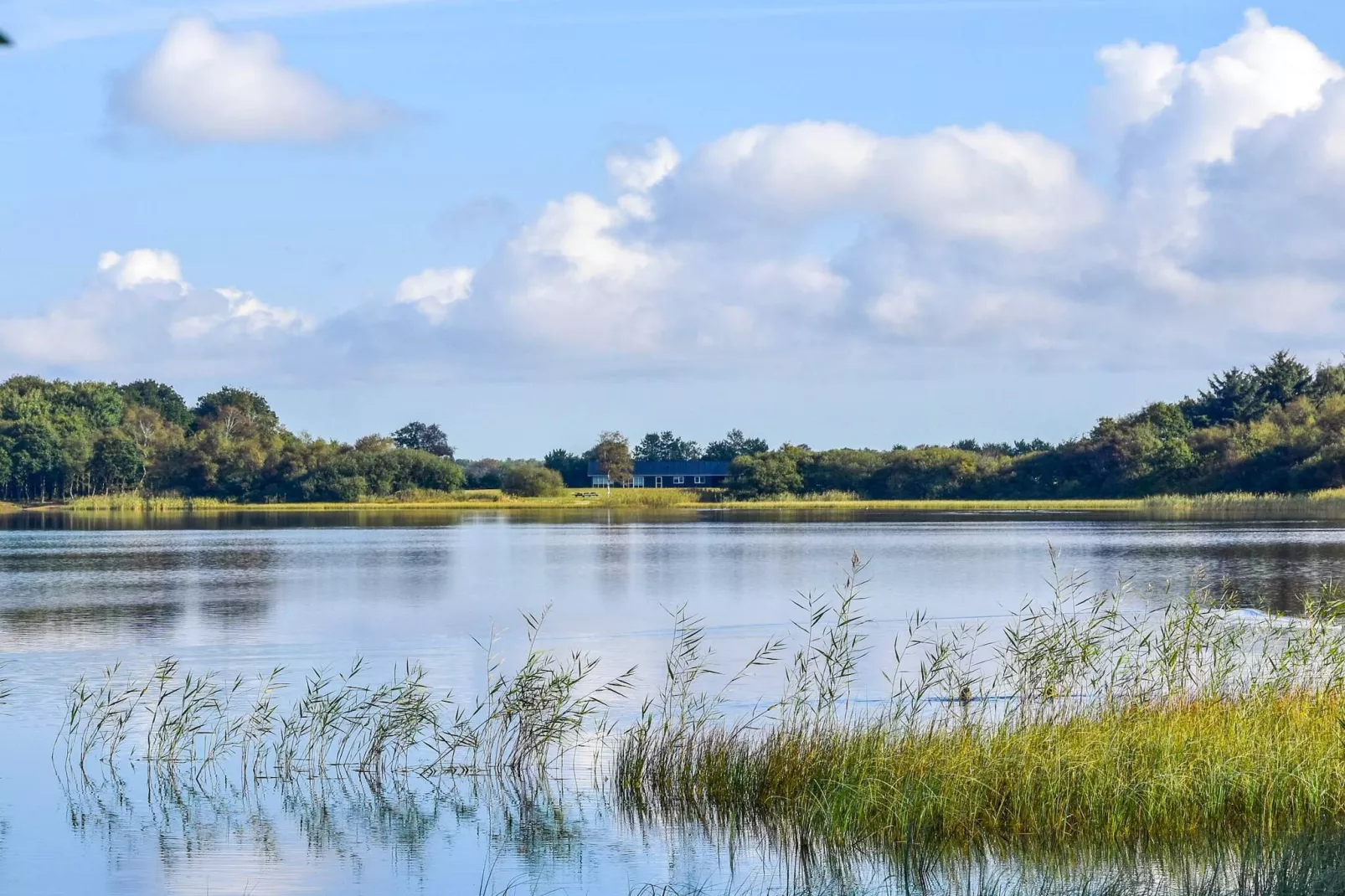 Maison de vacances pour 6 a Ansager-Vue sur l'eau