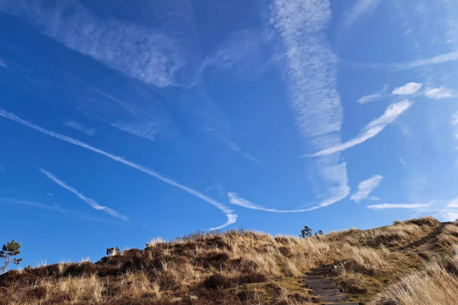 Tranquil Thatched Cottage on Romo-By Traum-Untagged