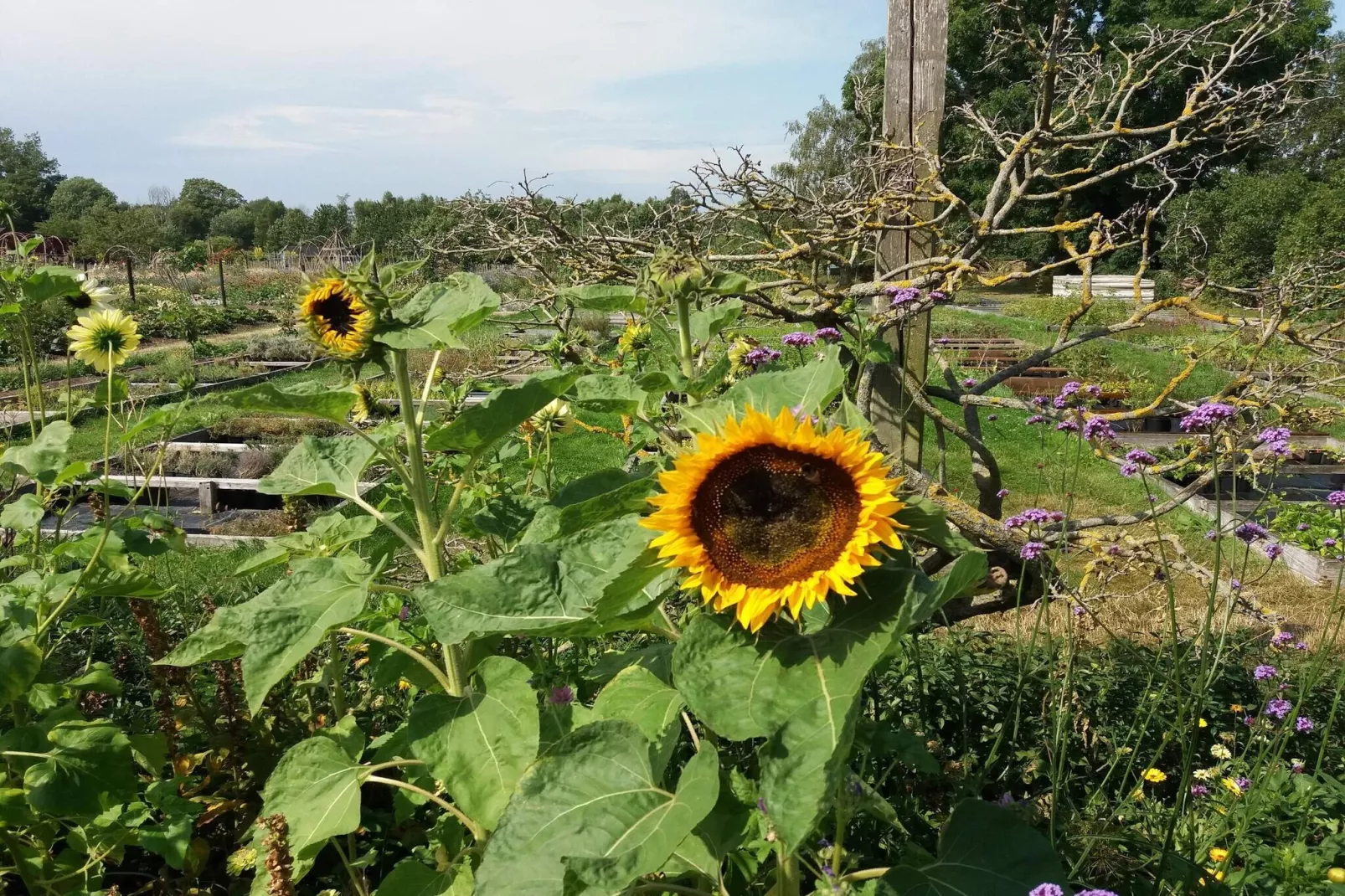 10 person holiday home in FÄRJESTADEN-Untagged